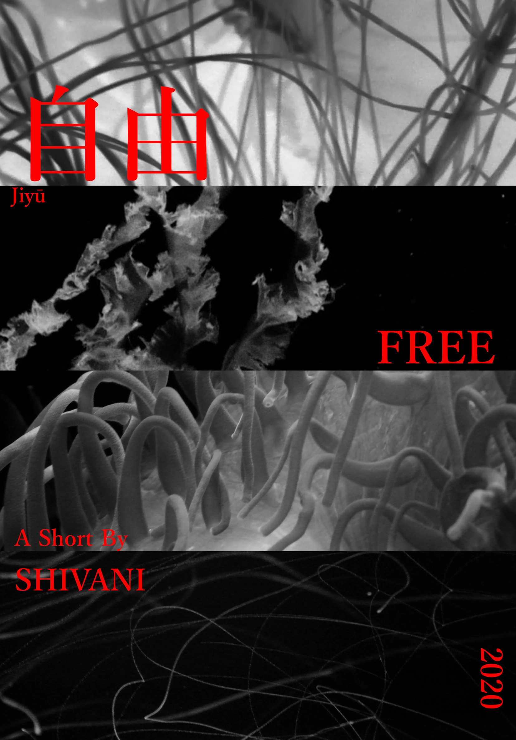 Free