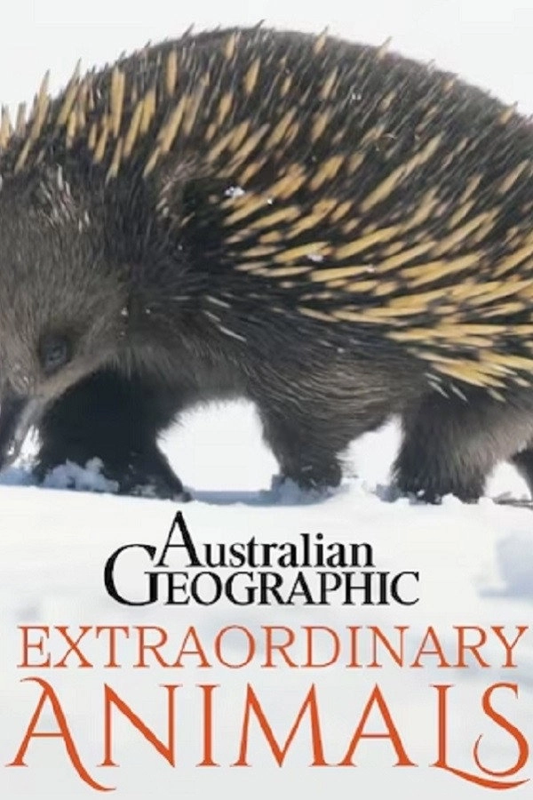 Extraordinary Animals (2025)