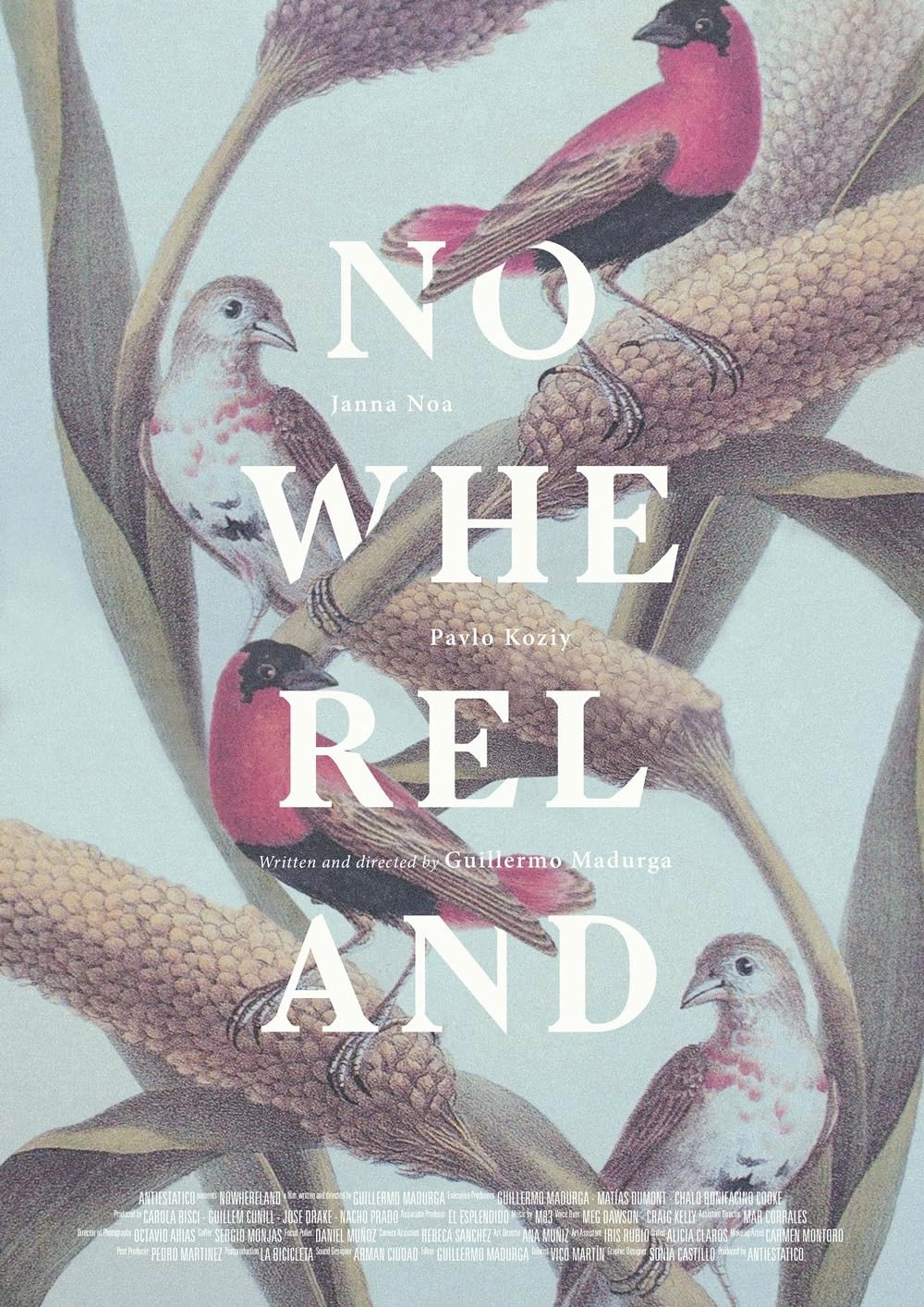 Nowhereland