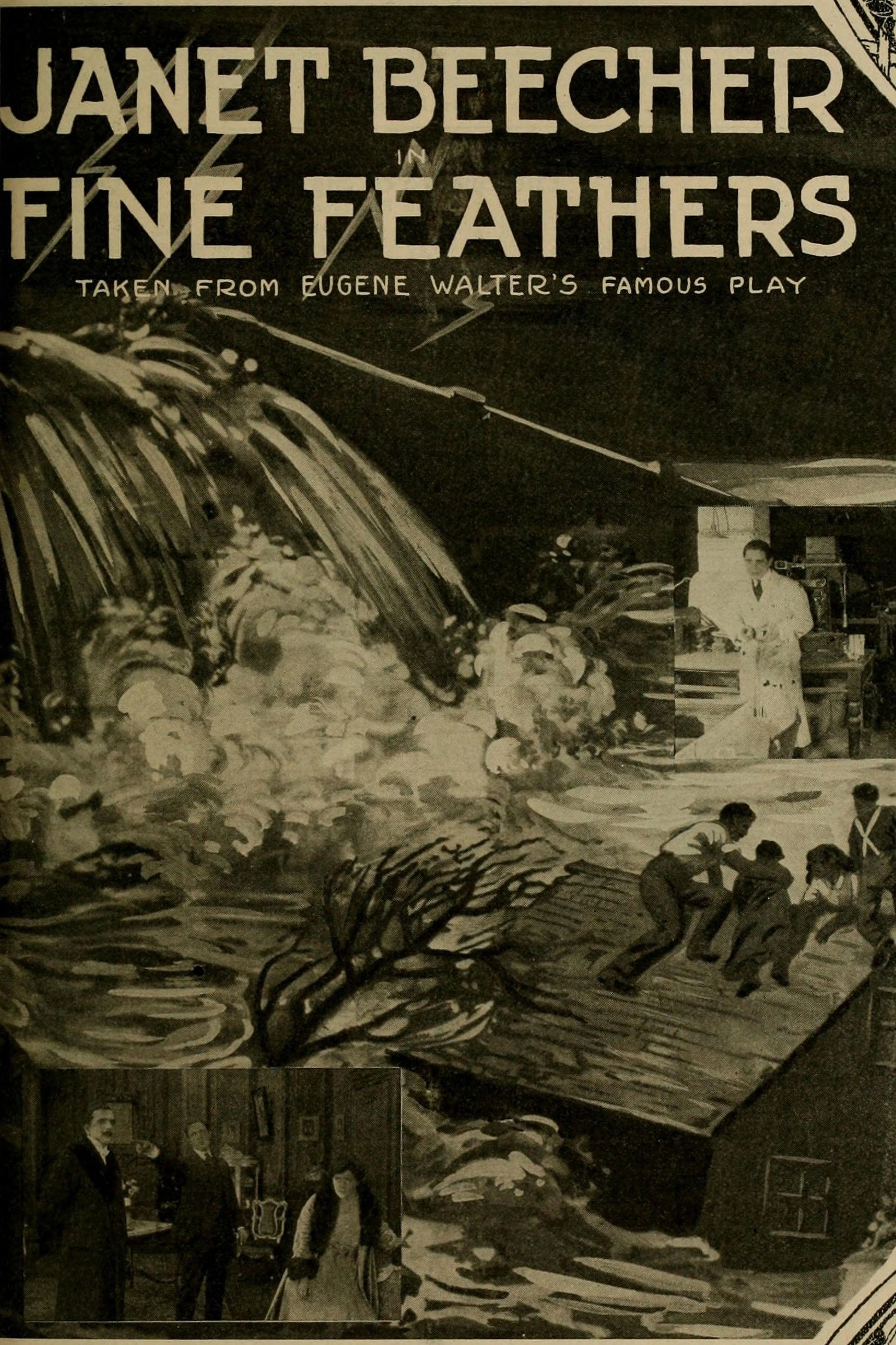 Fine Feathers