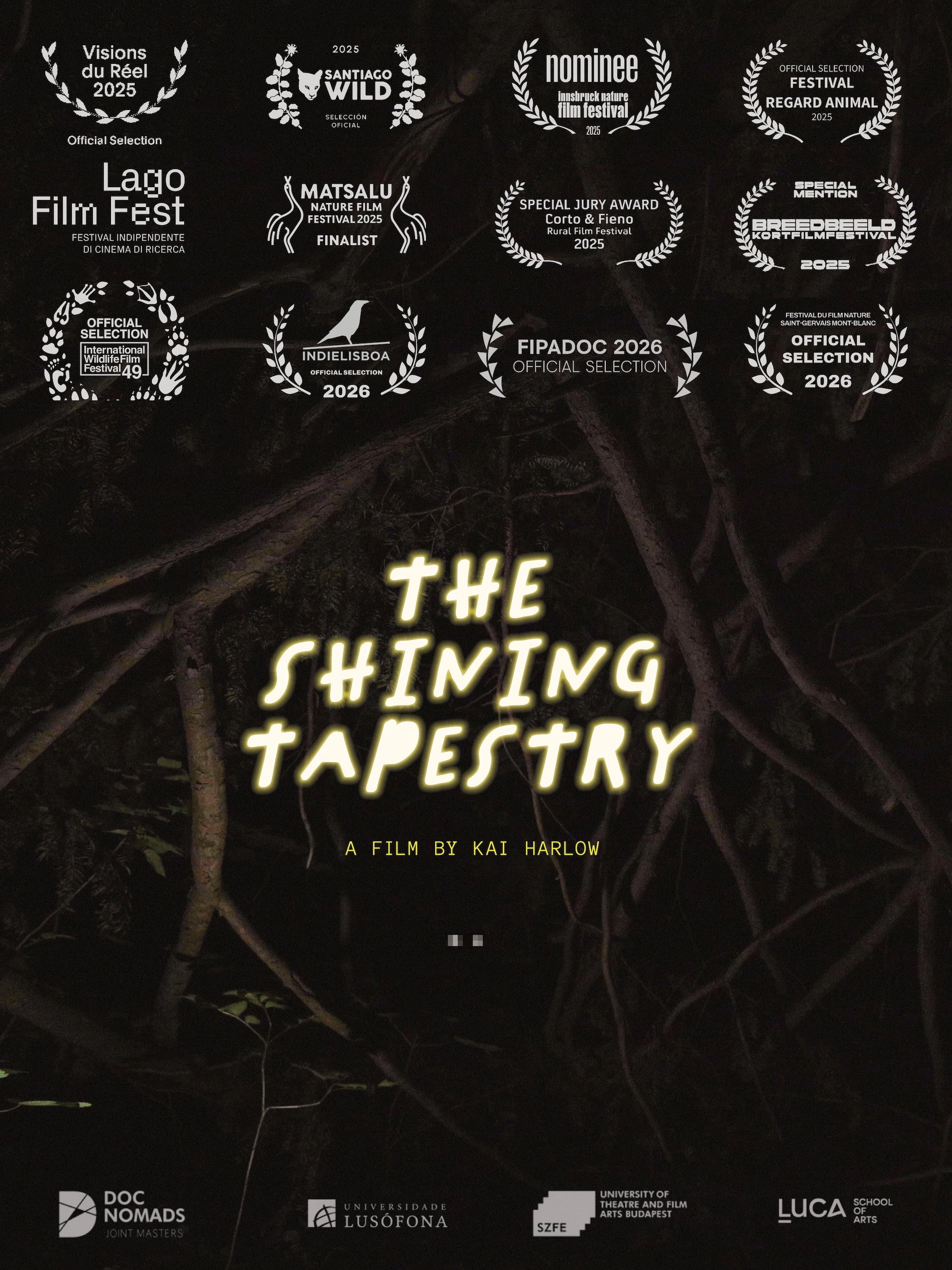 The Shining Tapestry
