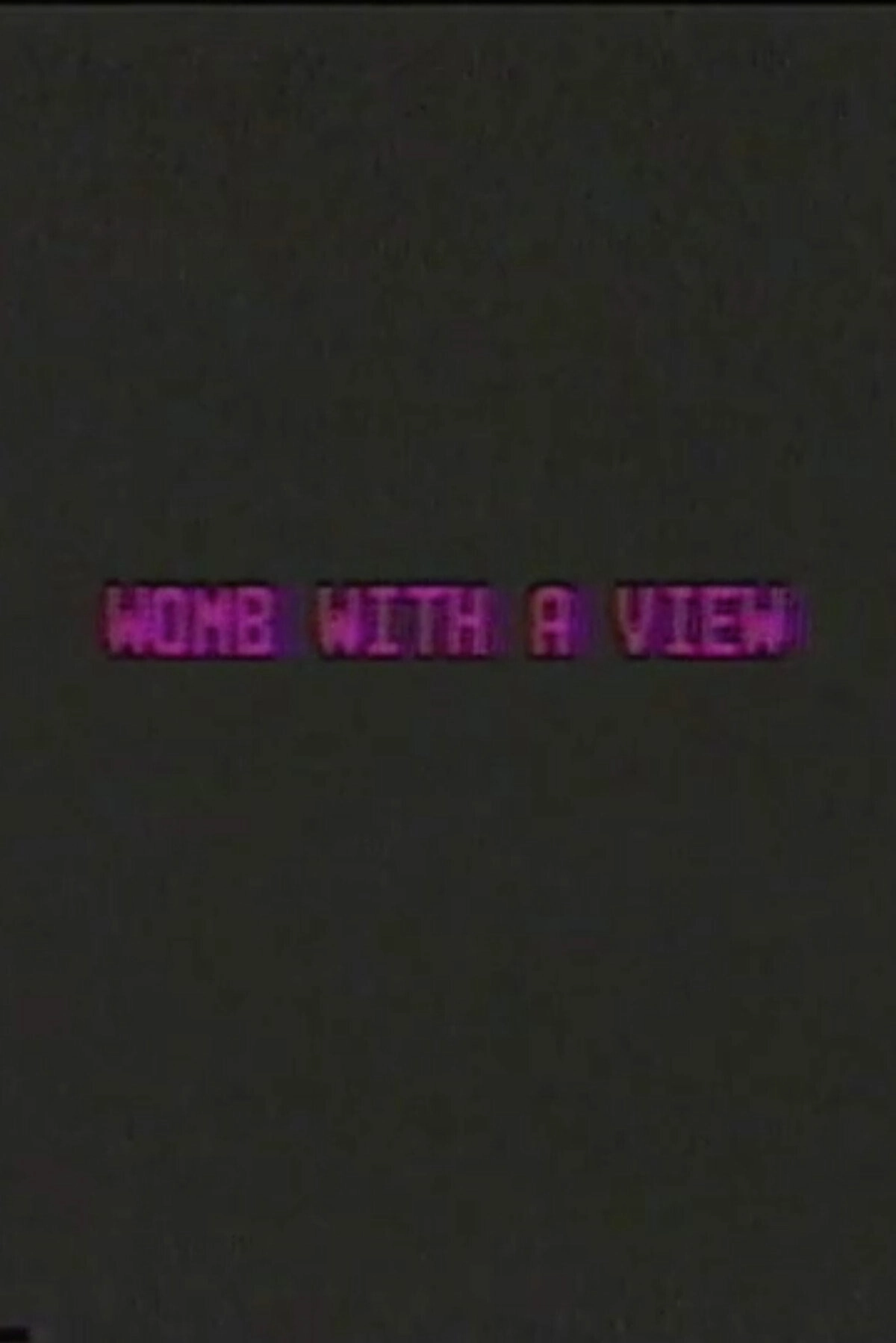 Womb with a View