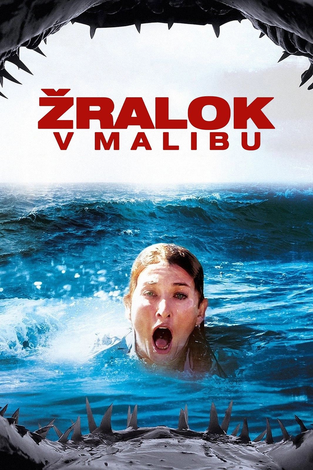 Malibu Shark Attack
