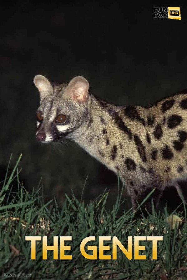 The Genet