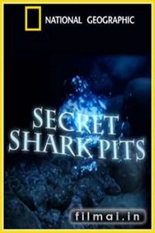 Secret Shark Pits