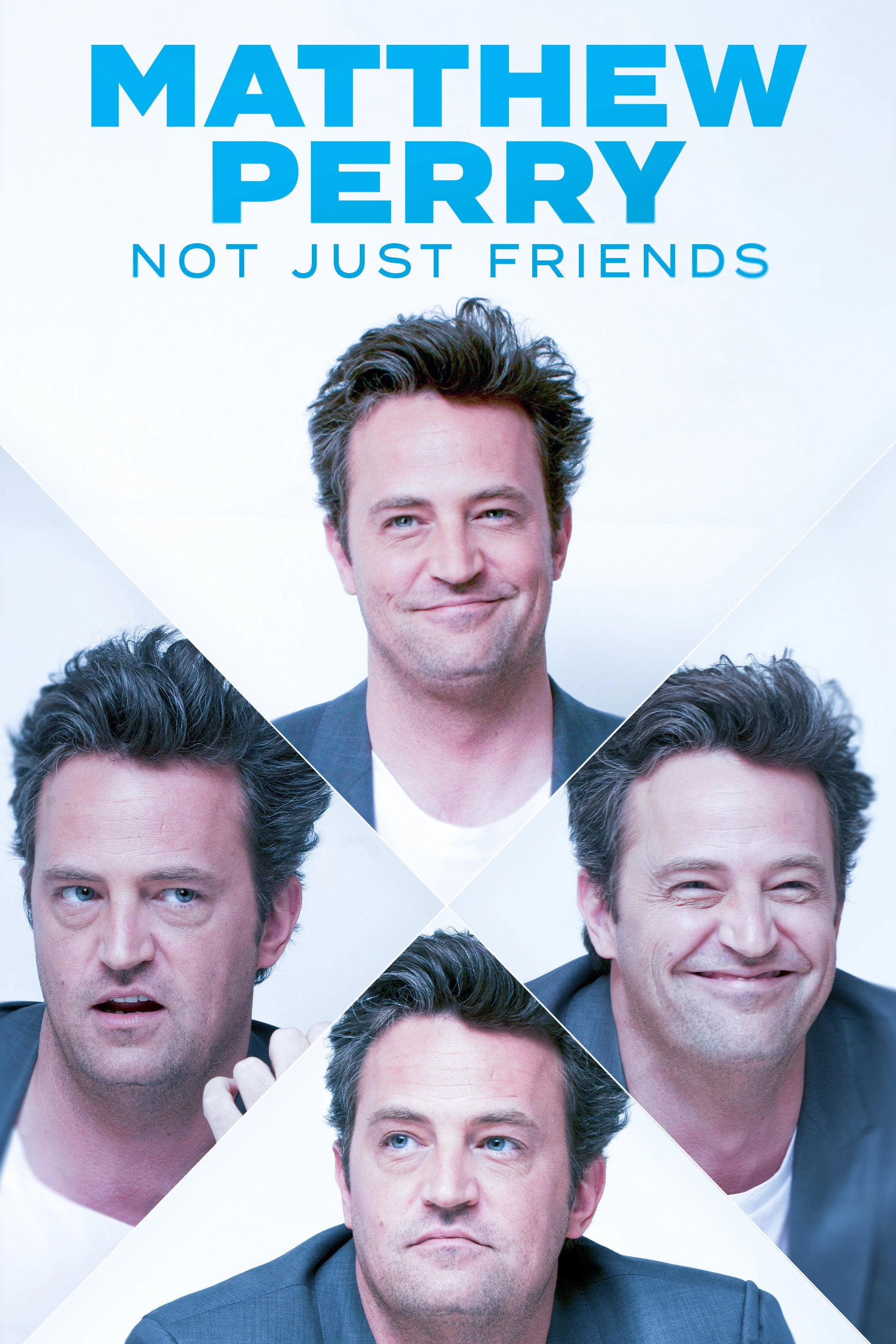 Matthew Perry: Not Just Friends