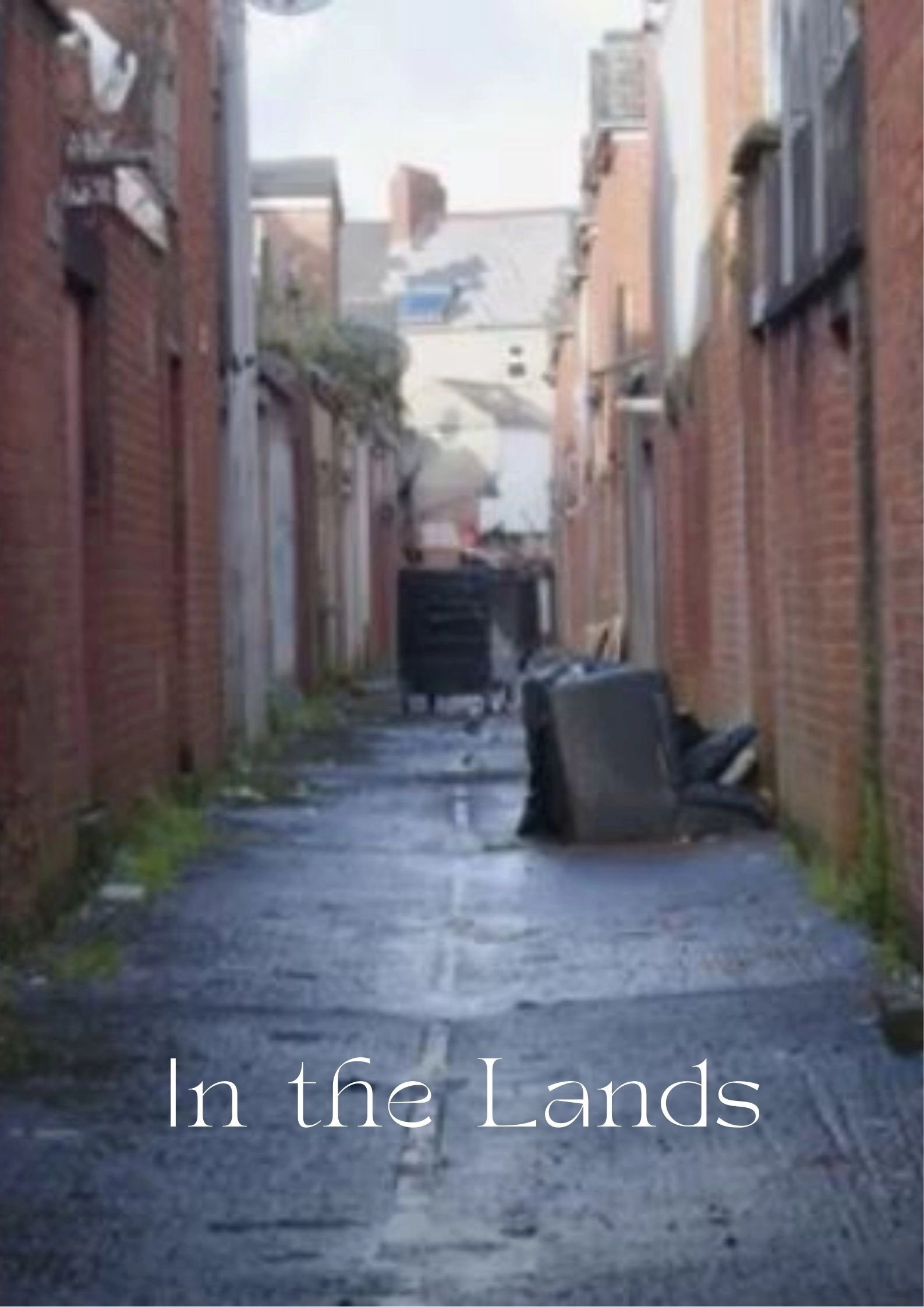 In the Lands
