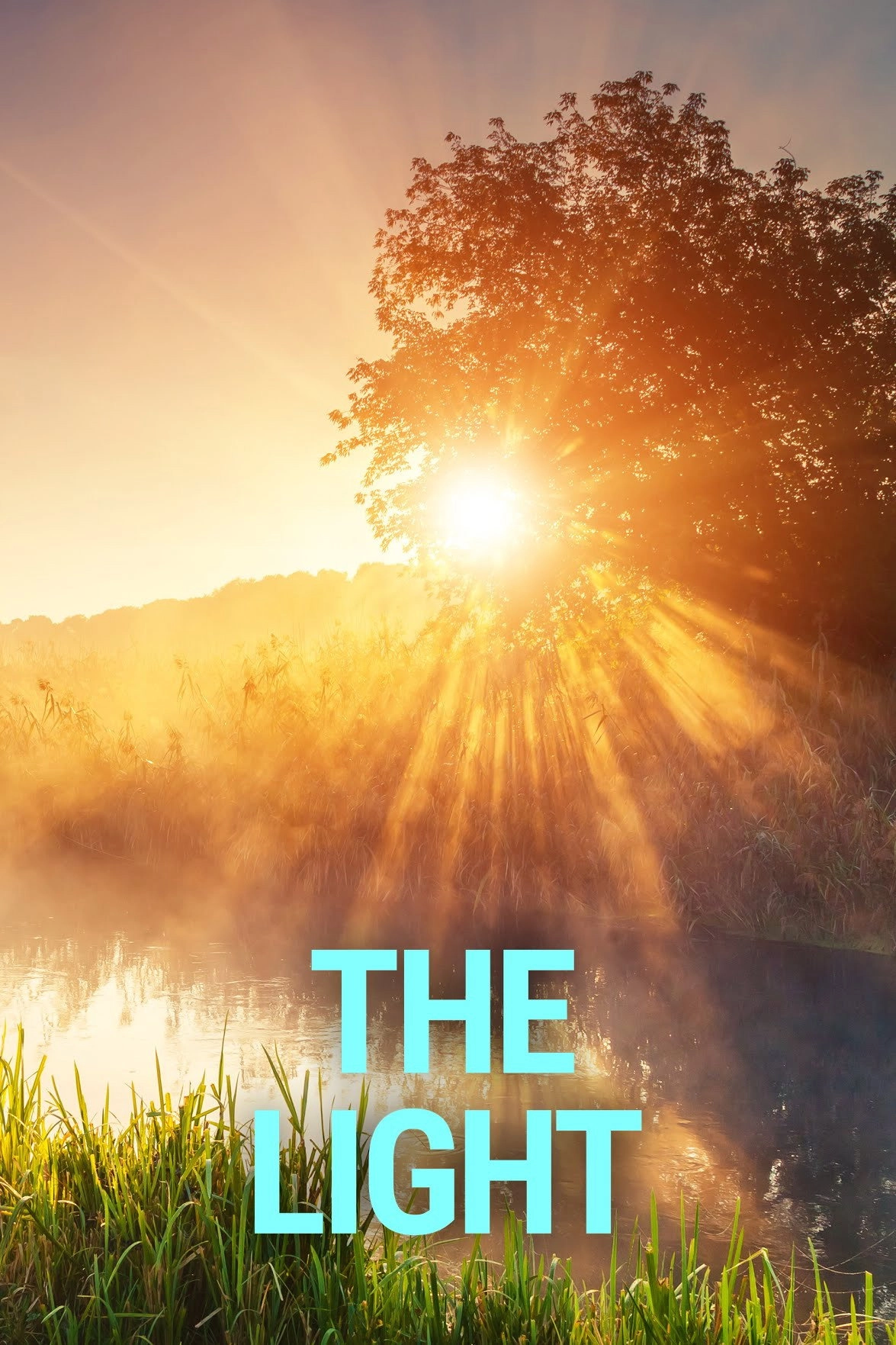 The Light 2025
