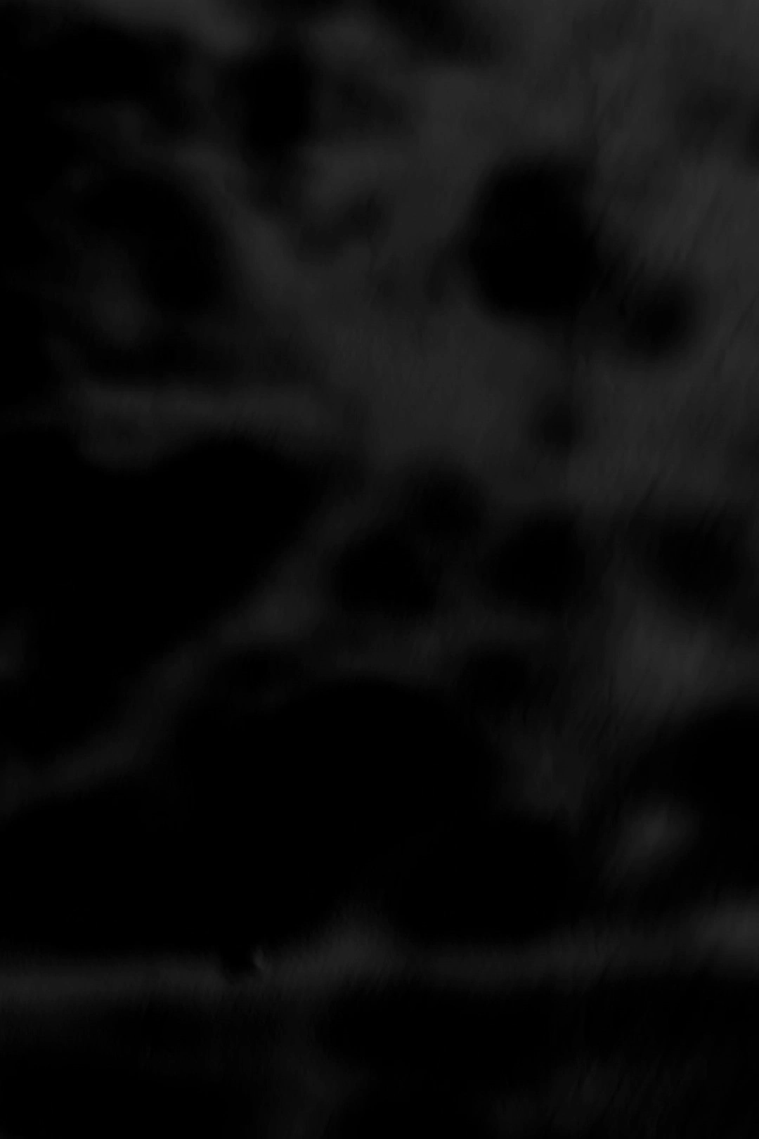 Black Trees