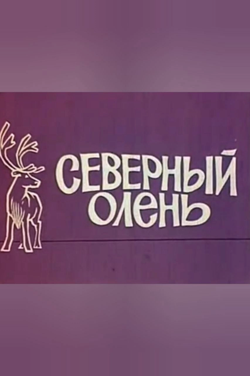 Reindeer