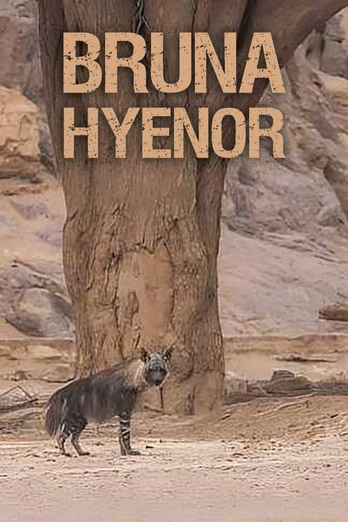 Bruna hyenor