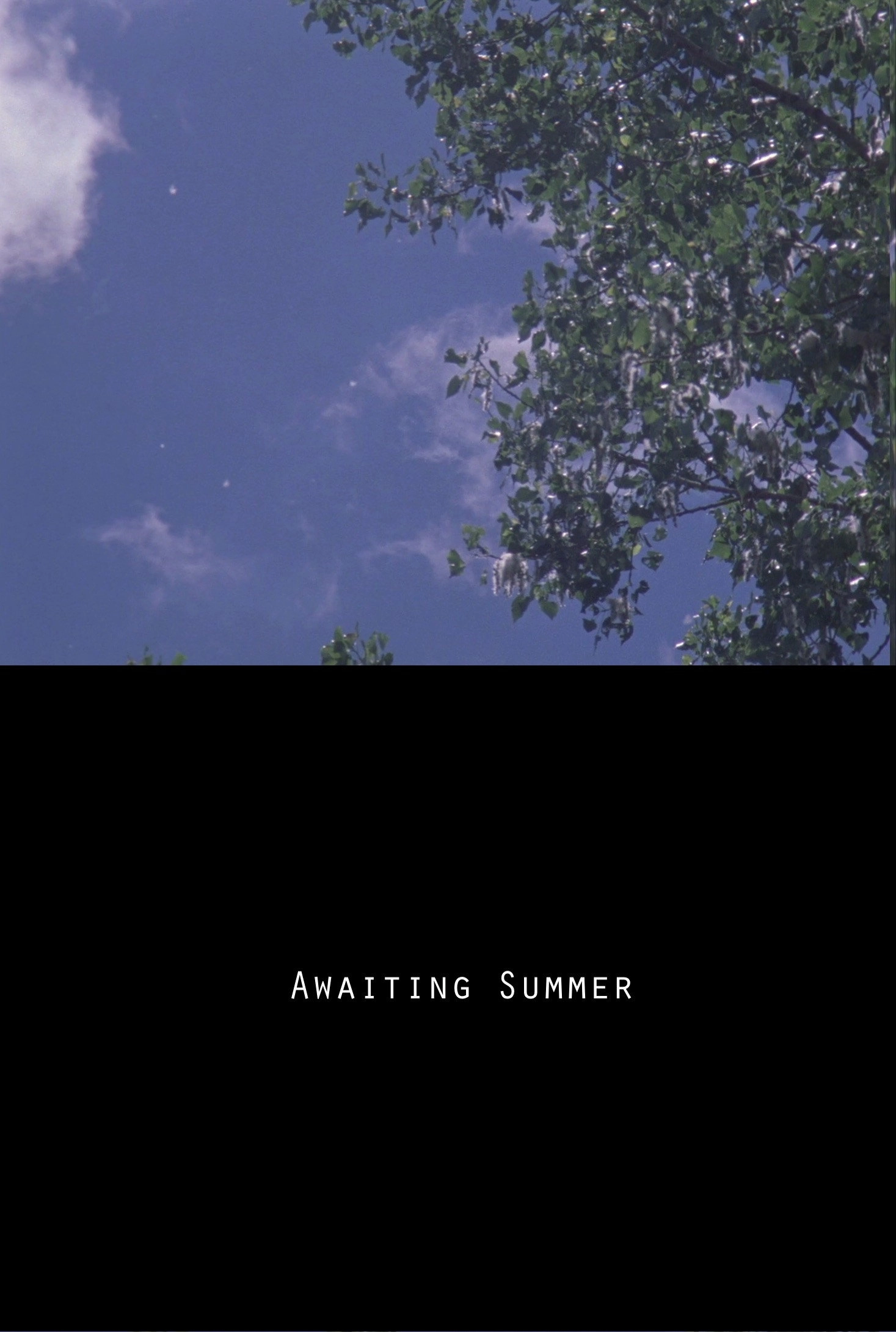 Awaiting Summer