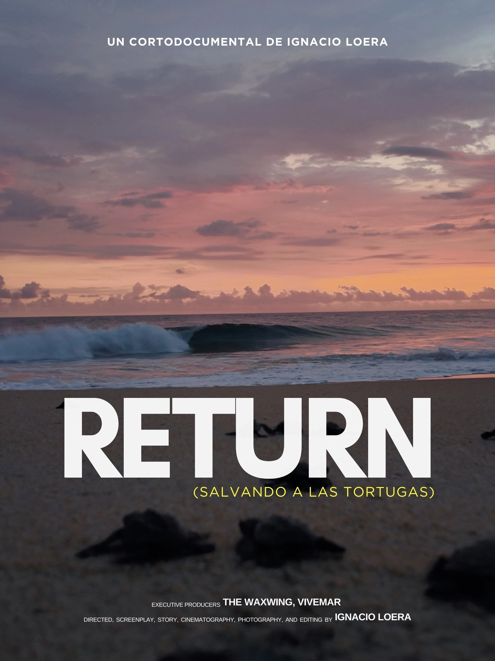 Return: Saving Turtles