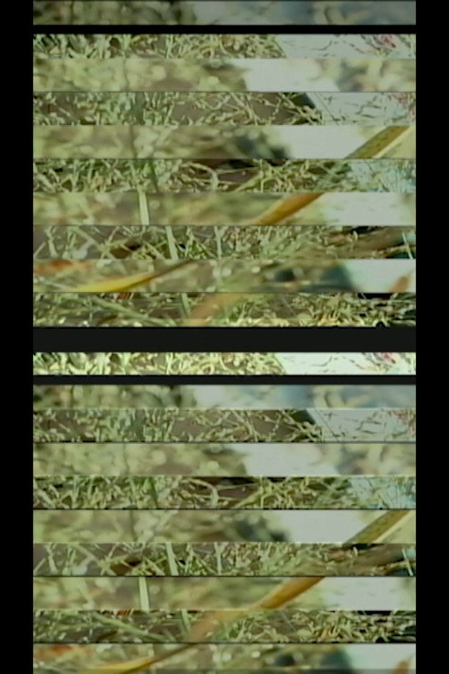 DIGITAL MATERIAL