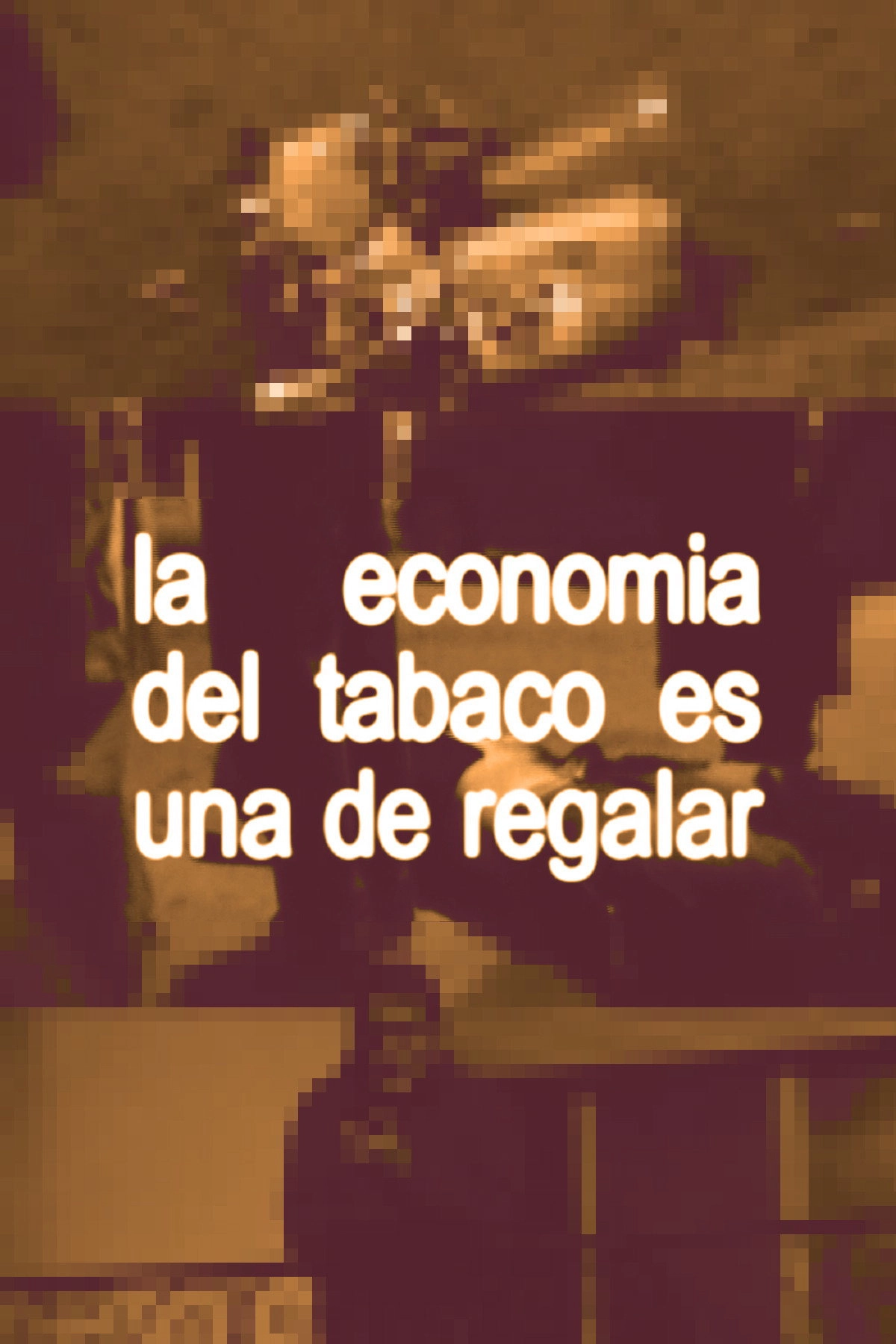 Tatú - 23/05