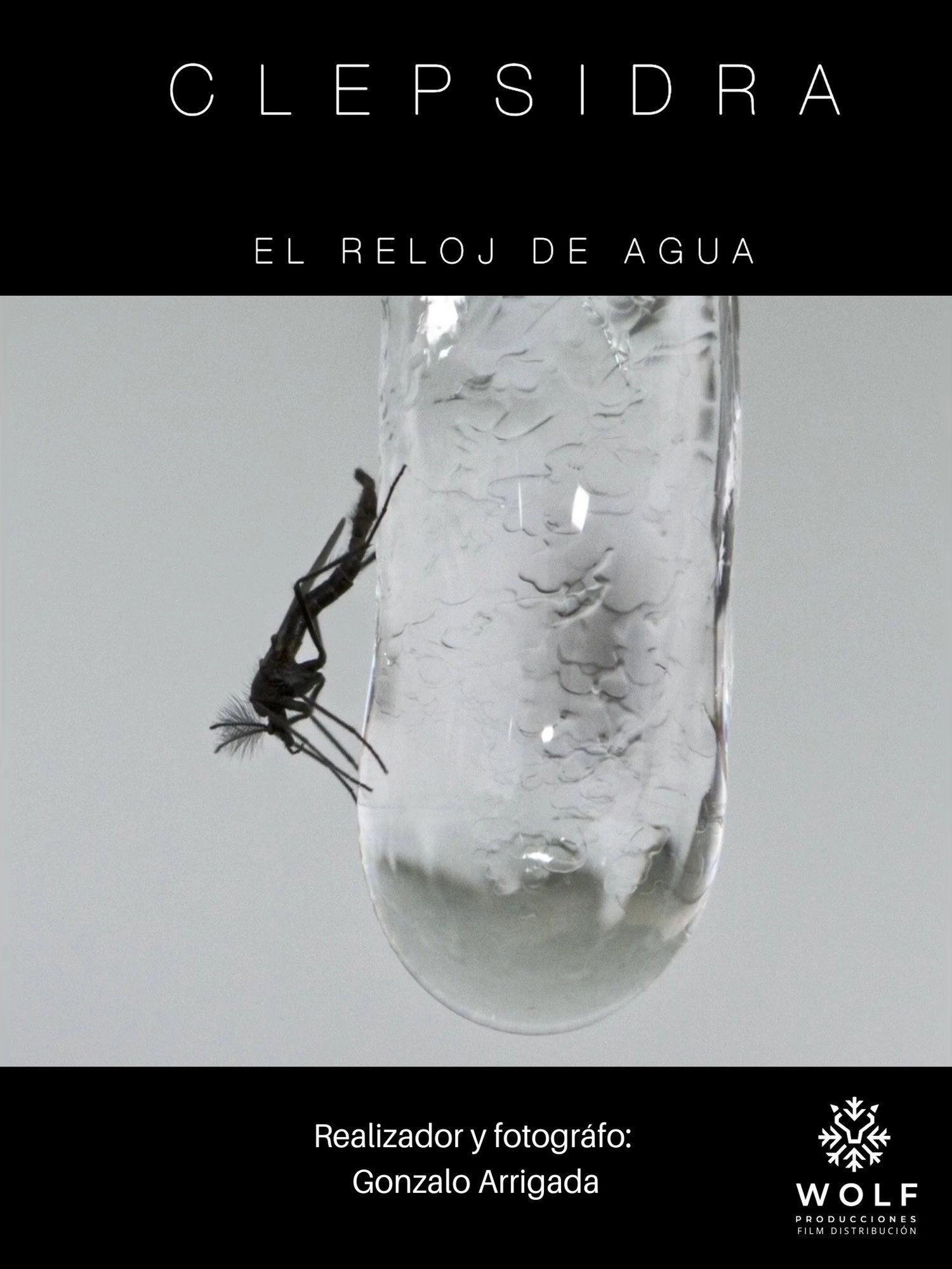 CLEPSIDRA