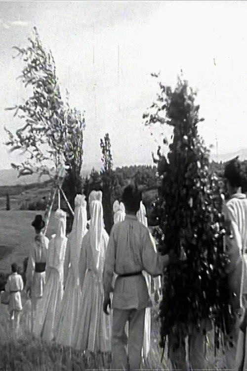 Springtime in White Carniola