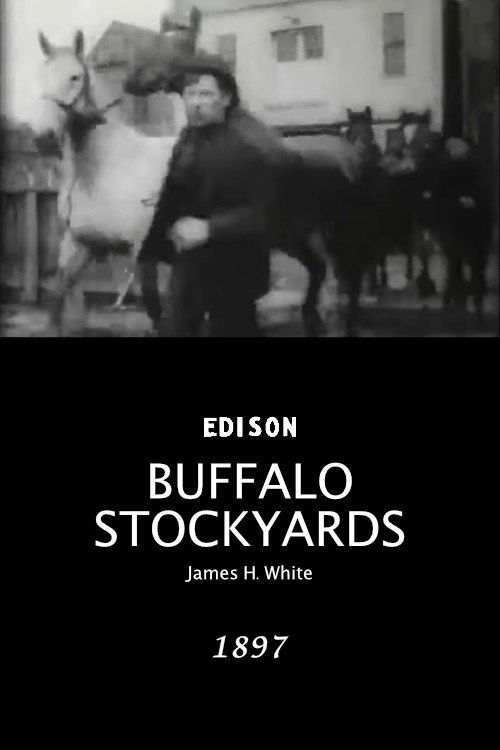 Buffalo Stockyards