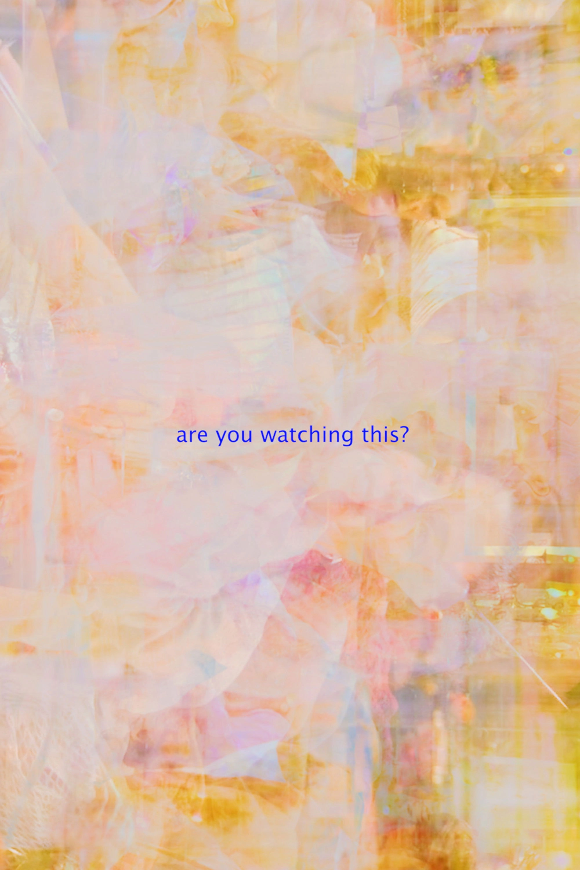 are you watching this?