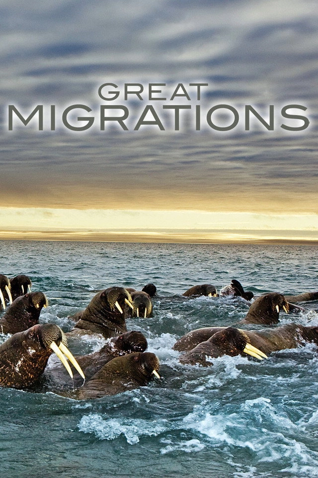 GREAT_MIGRATIONS-Disc2