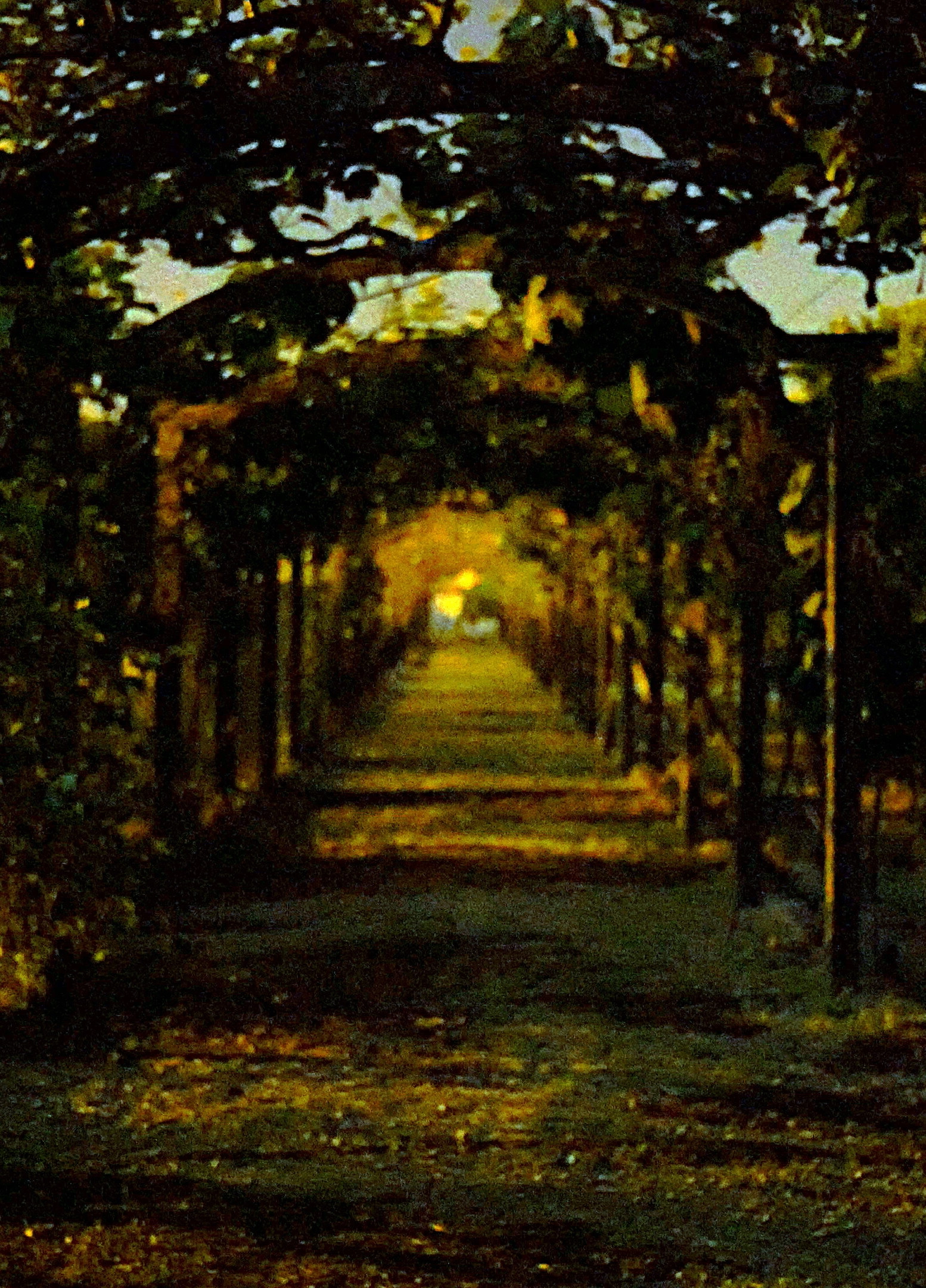 Vanishing Field