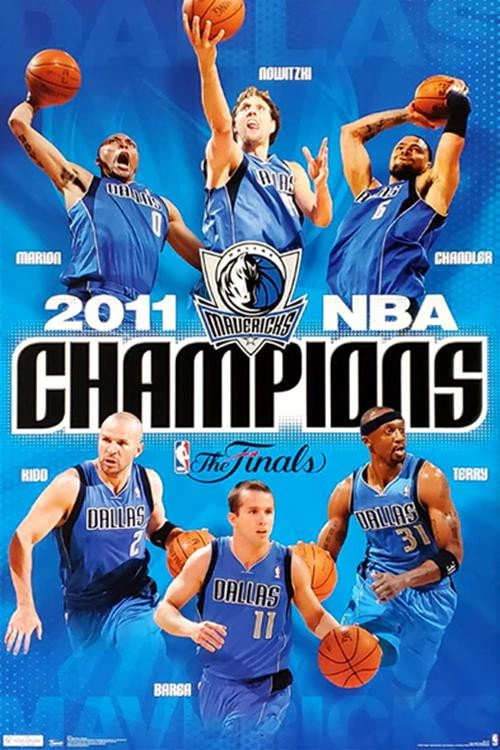 The 2011 NBA Finals