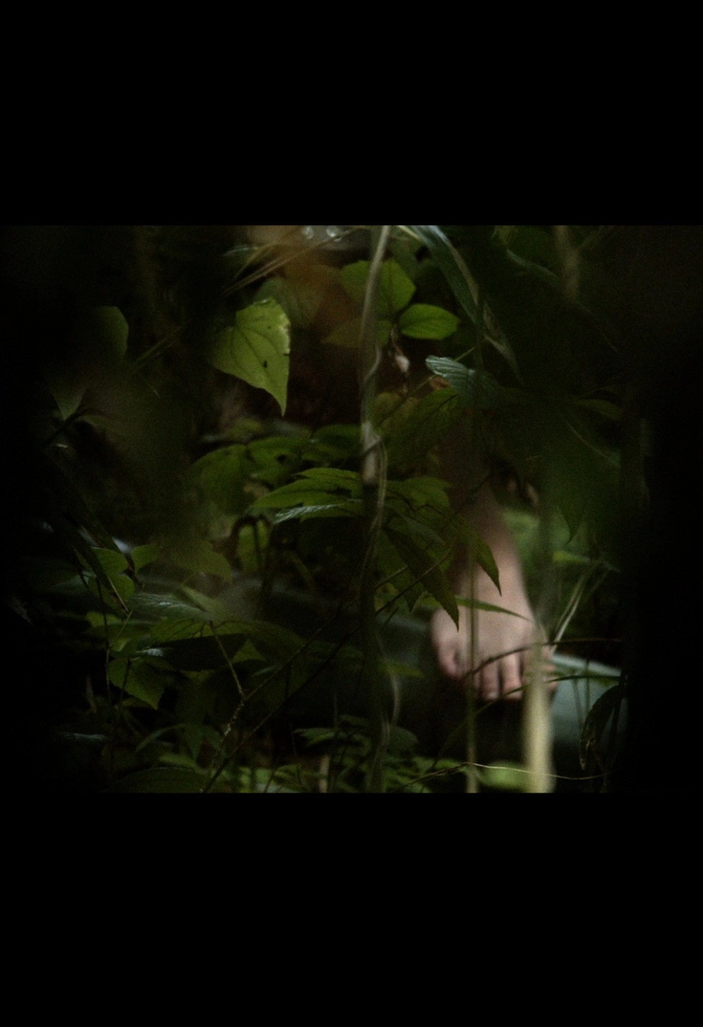 In A Grove