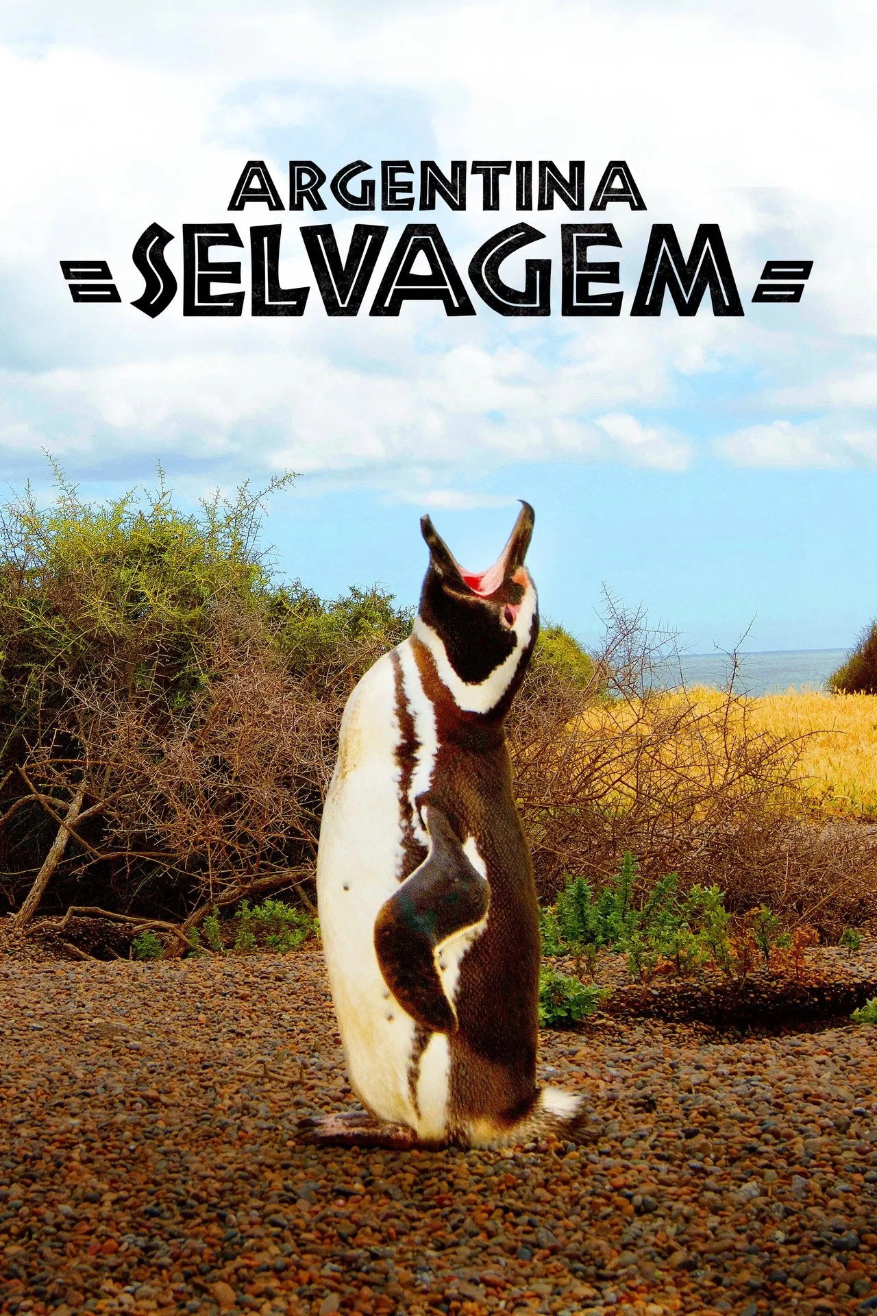 Wild Argentina