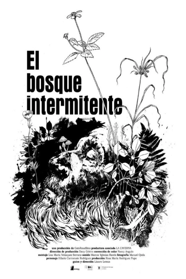 El bosque intermitente