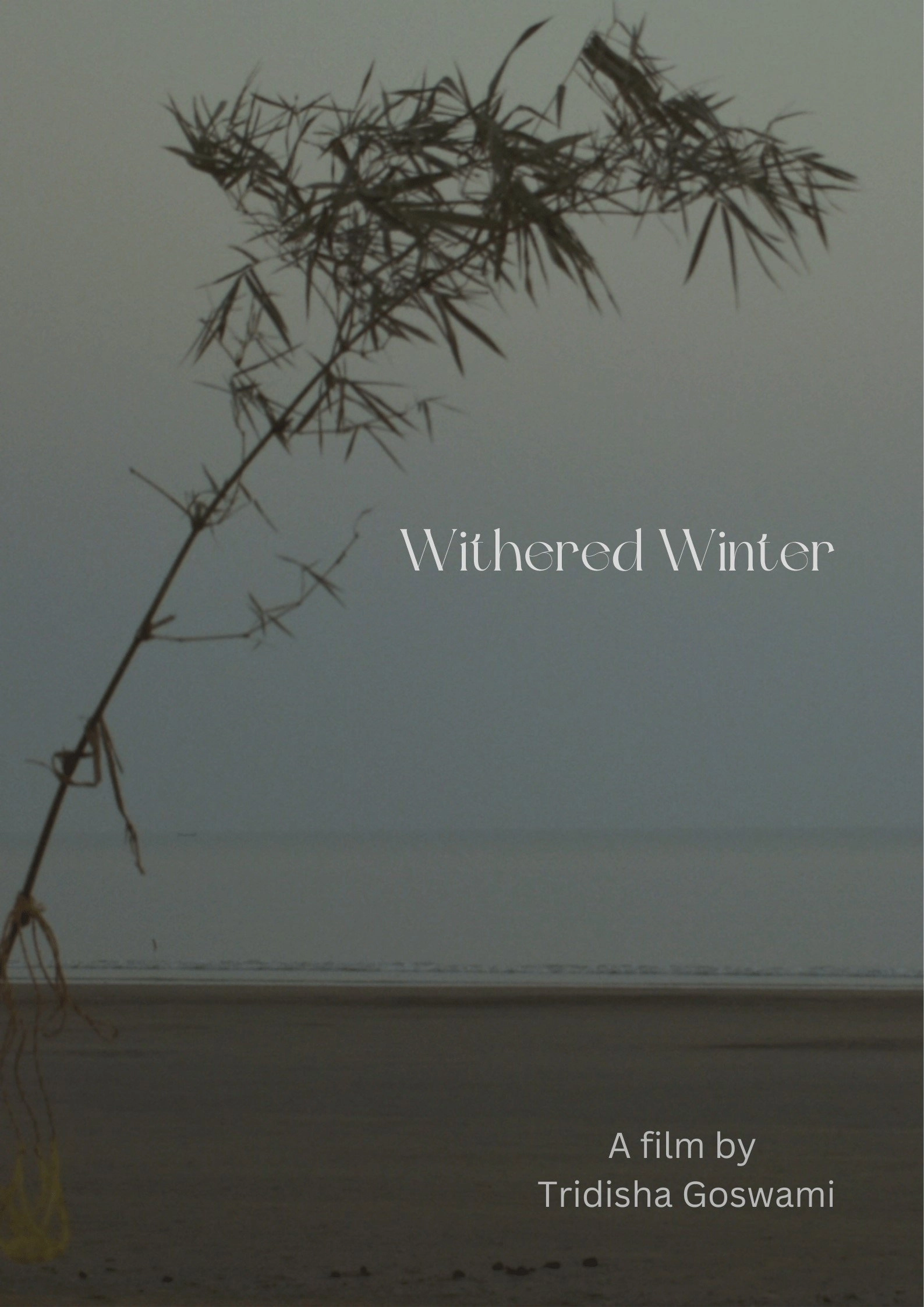 Withered Winter
