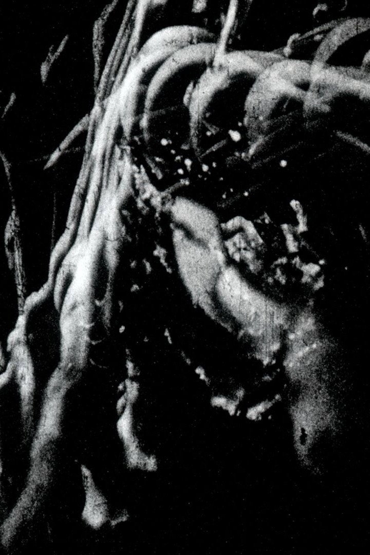 Traces