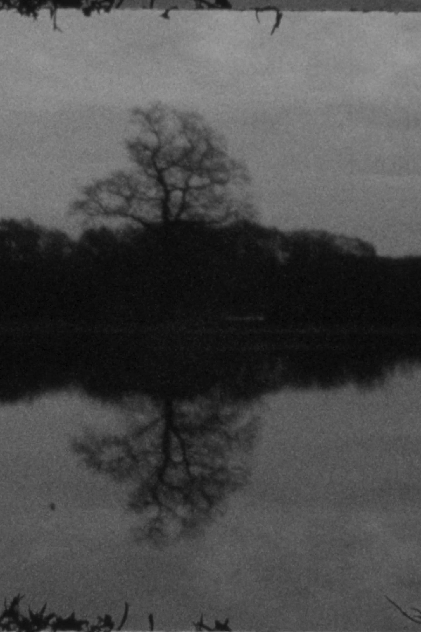 Landscape as Landscape 9