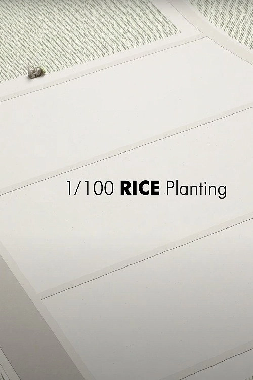 1/100 RICE Planting