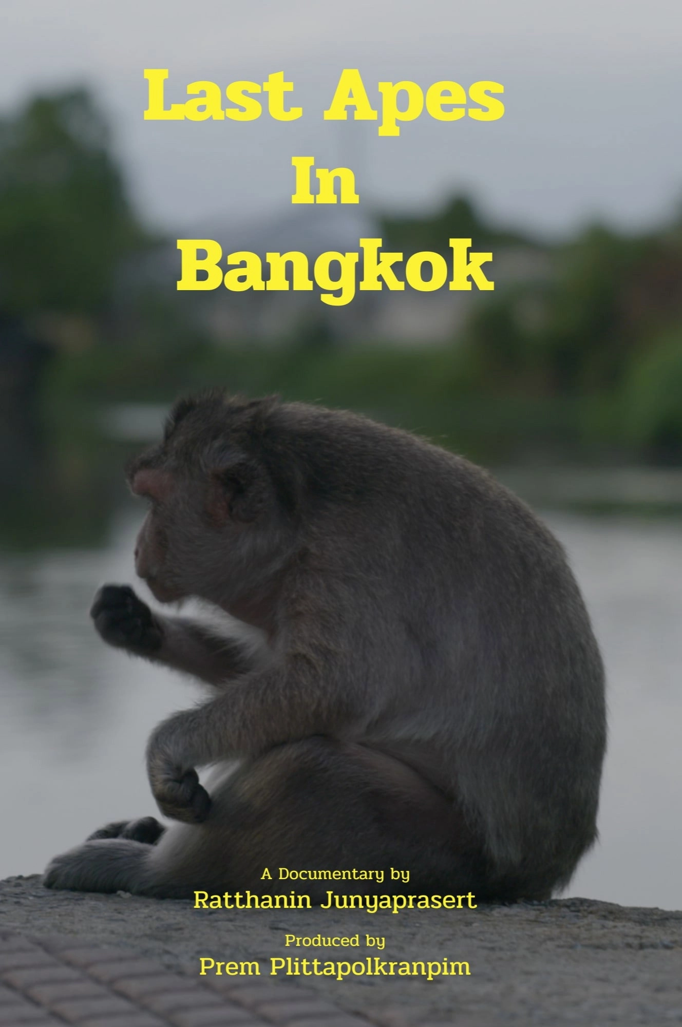 Last Apes In Bangkok