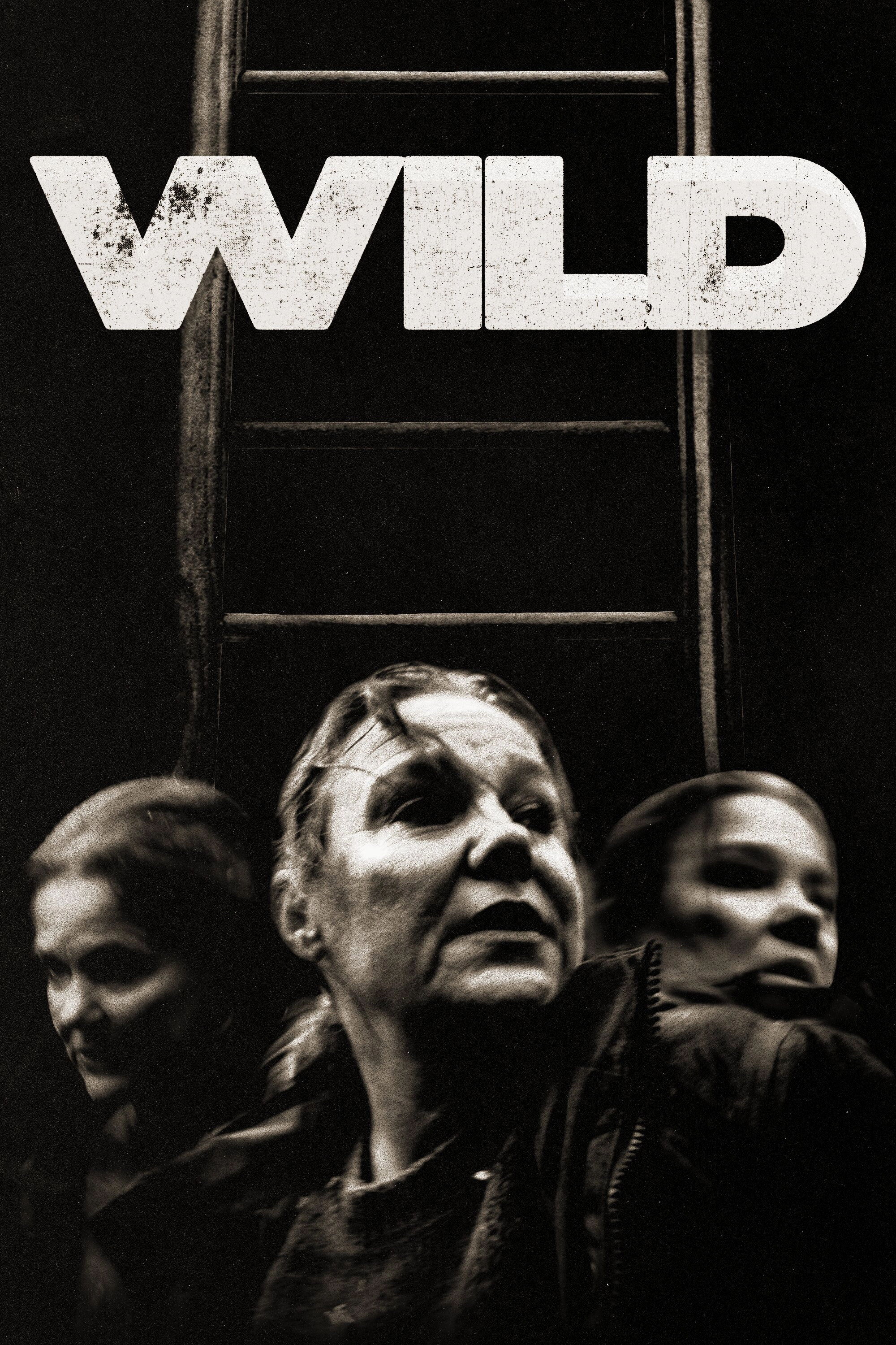 Wild