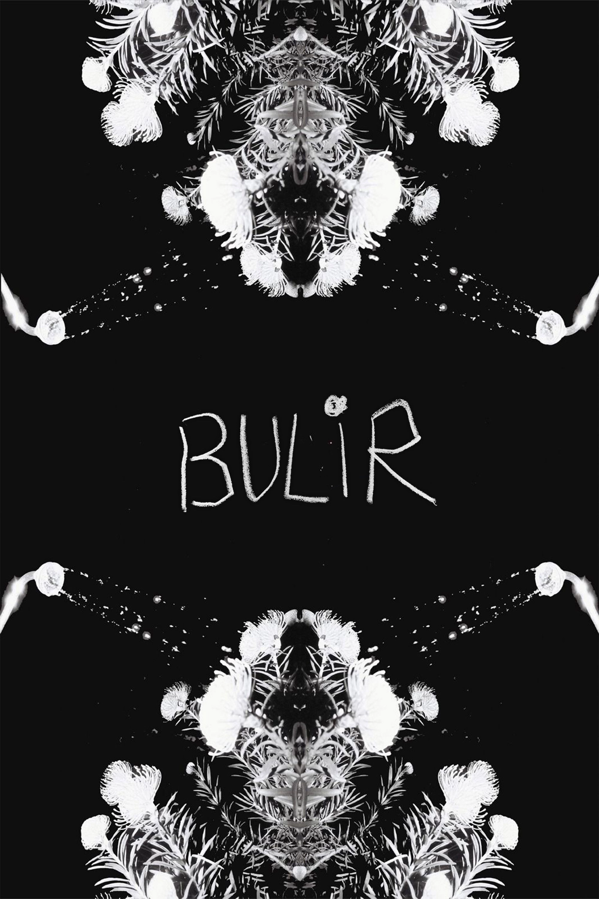 BULIR