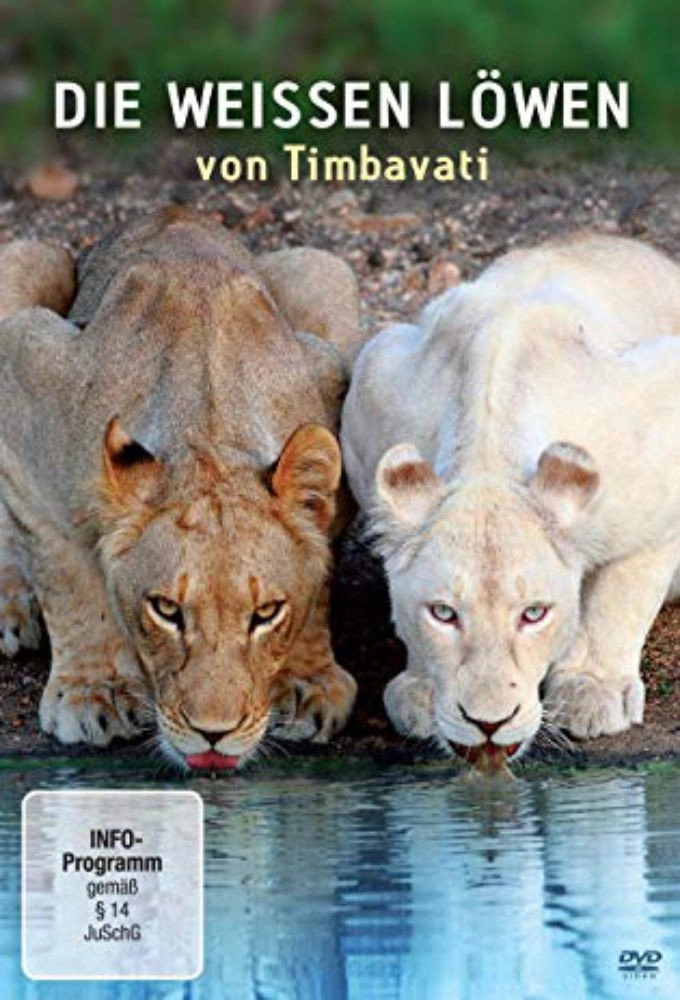 White Lions Born Wild