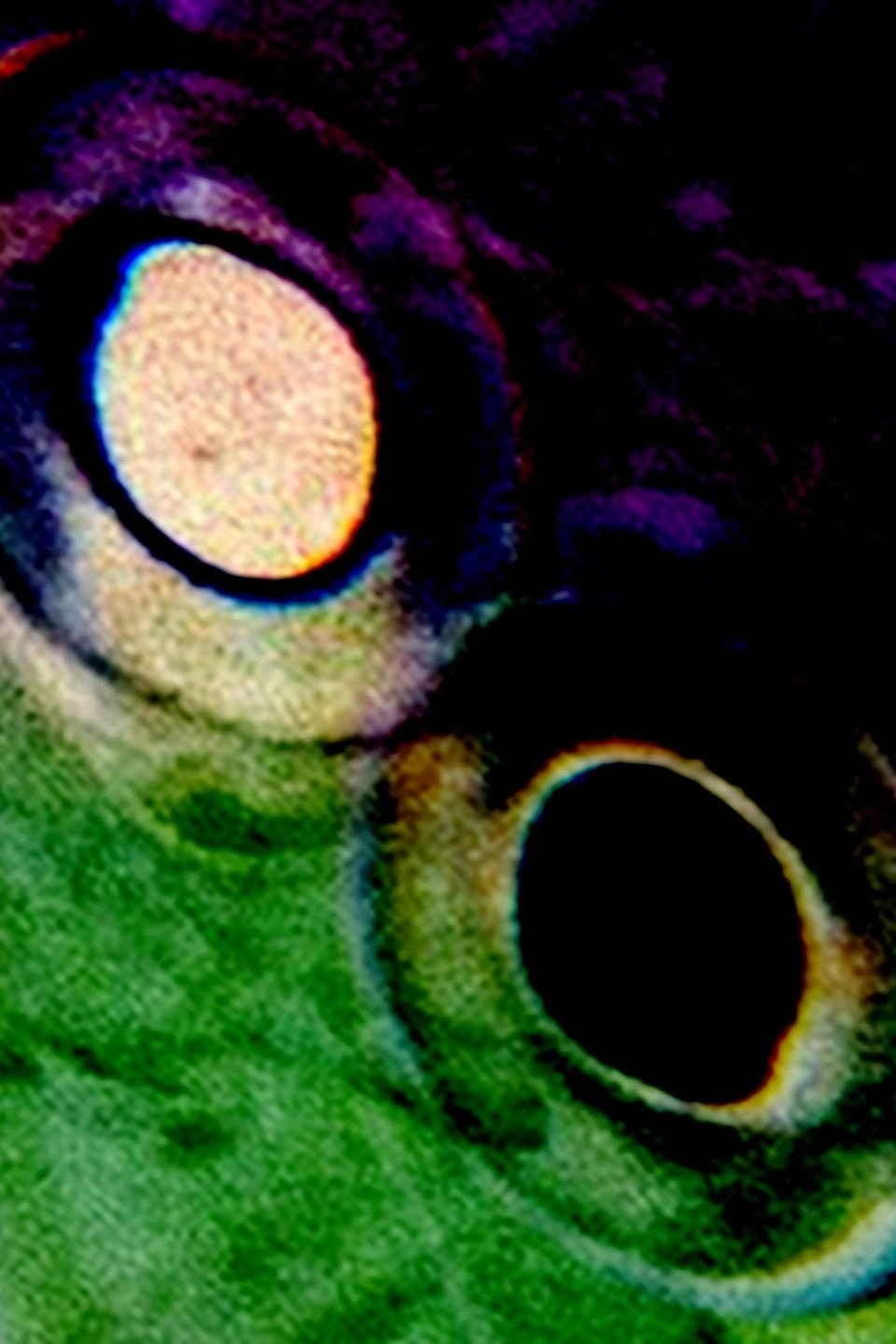 Manderfilm