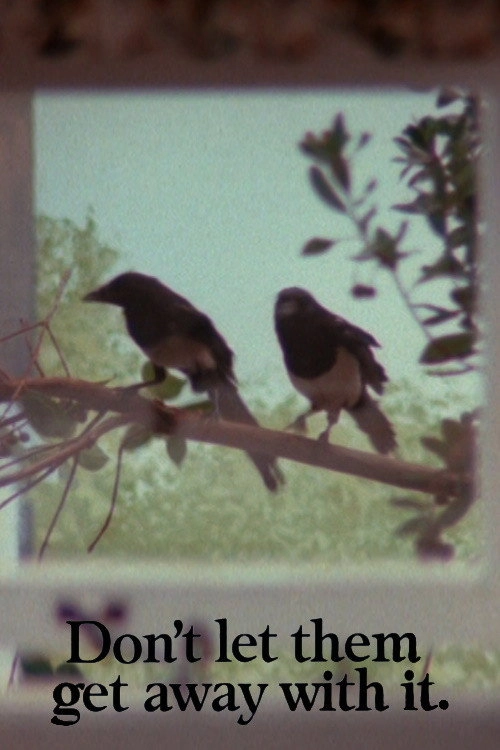 Magpies
