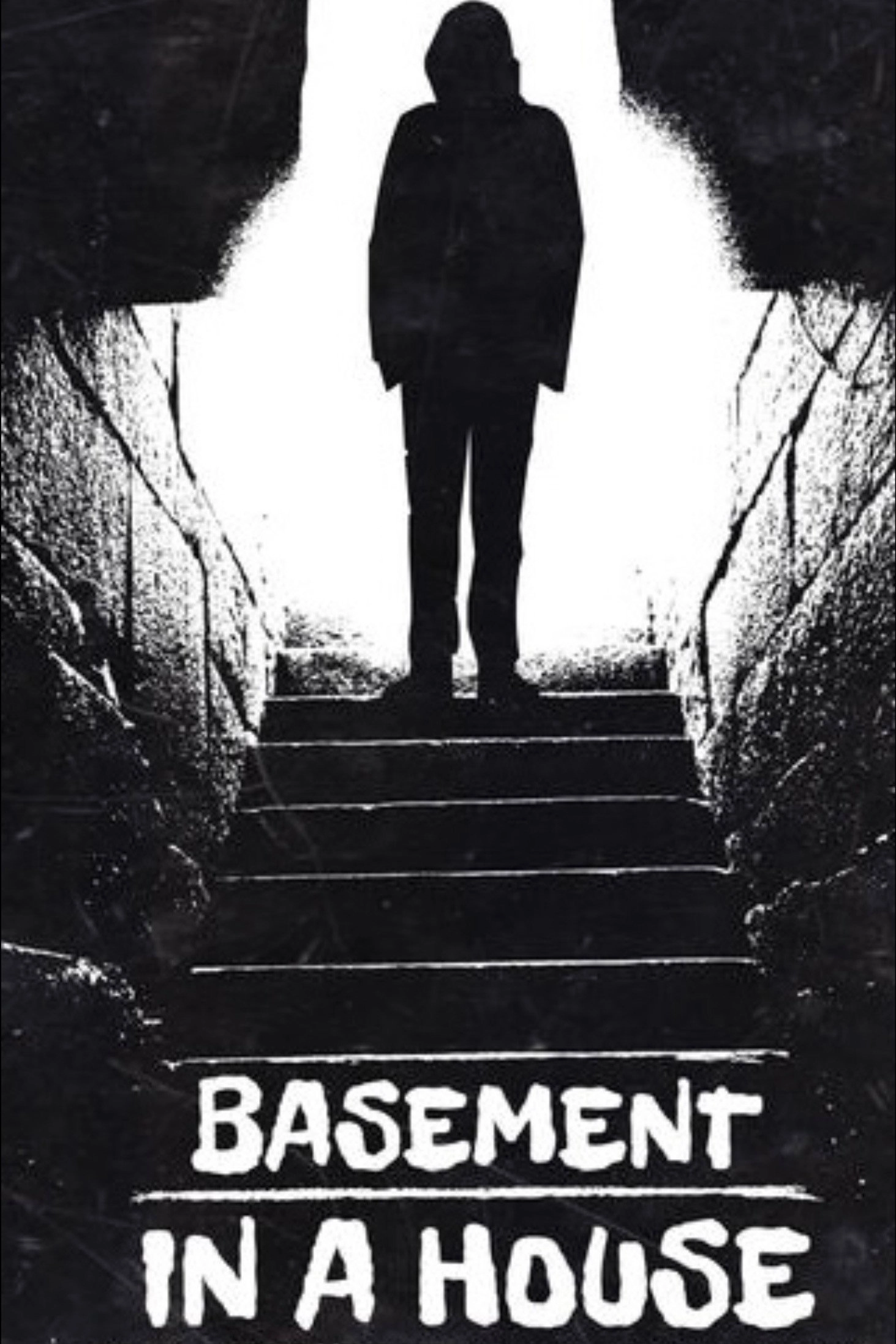 Basement in a House