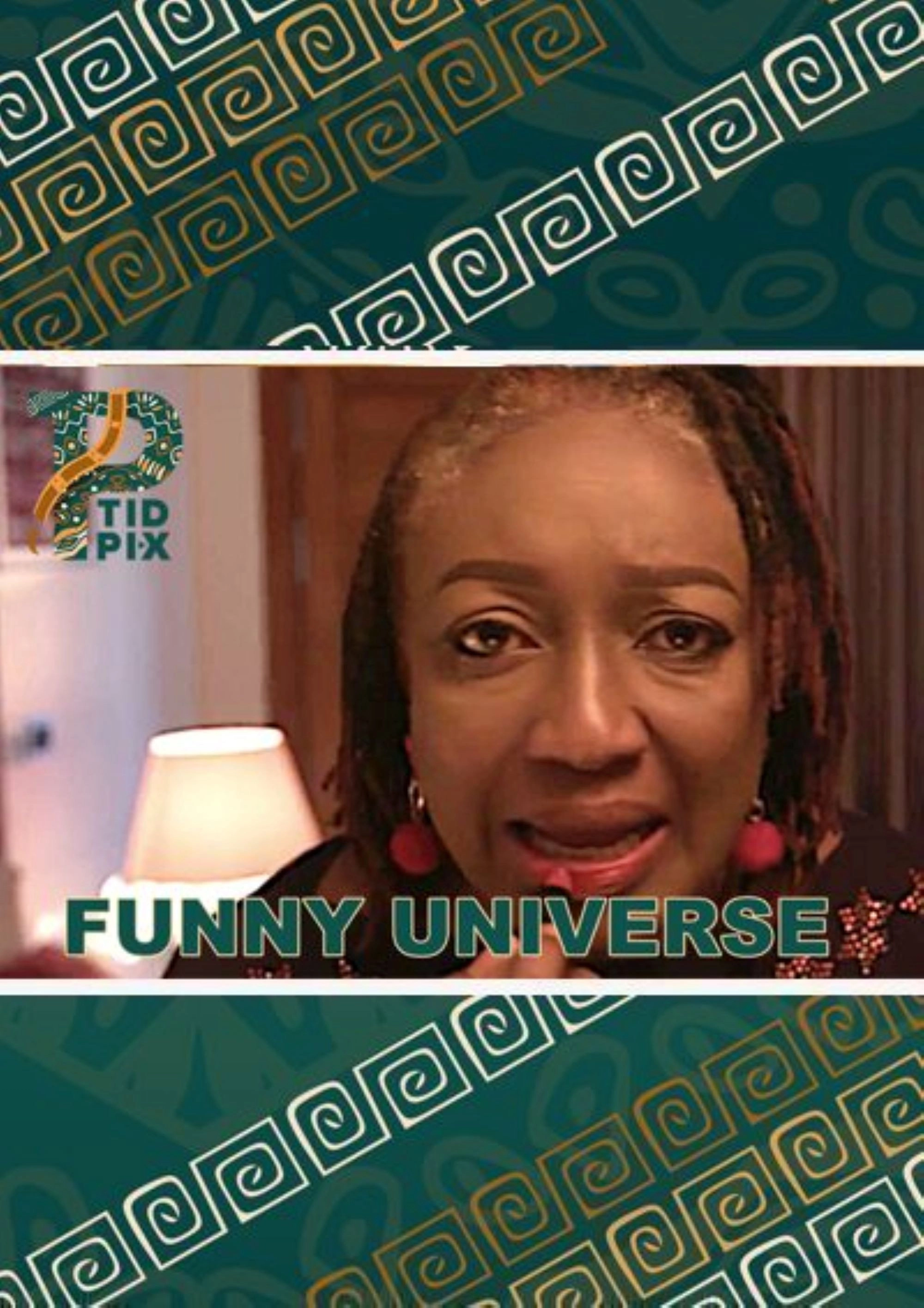 Funny Universe