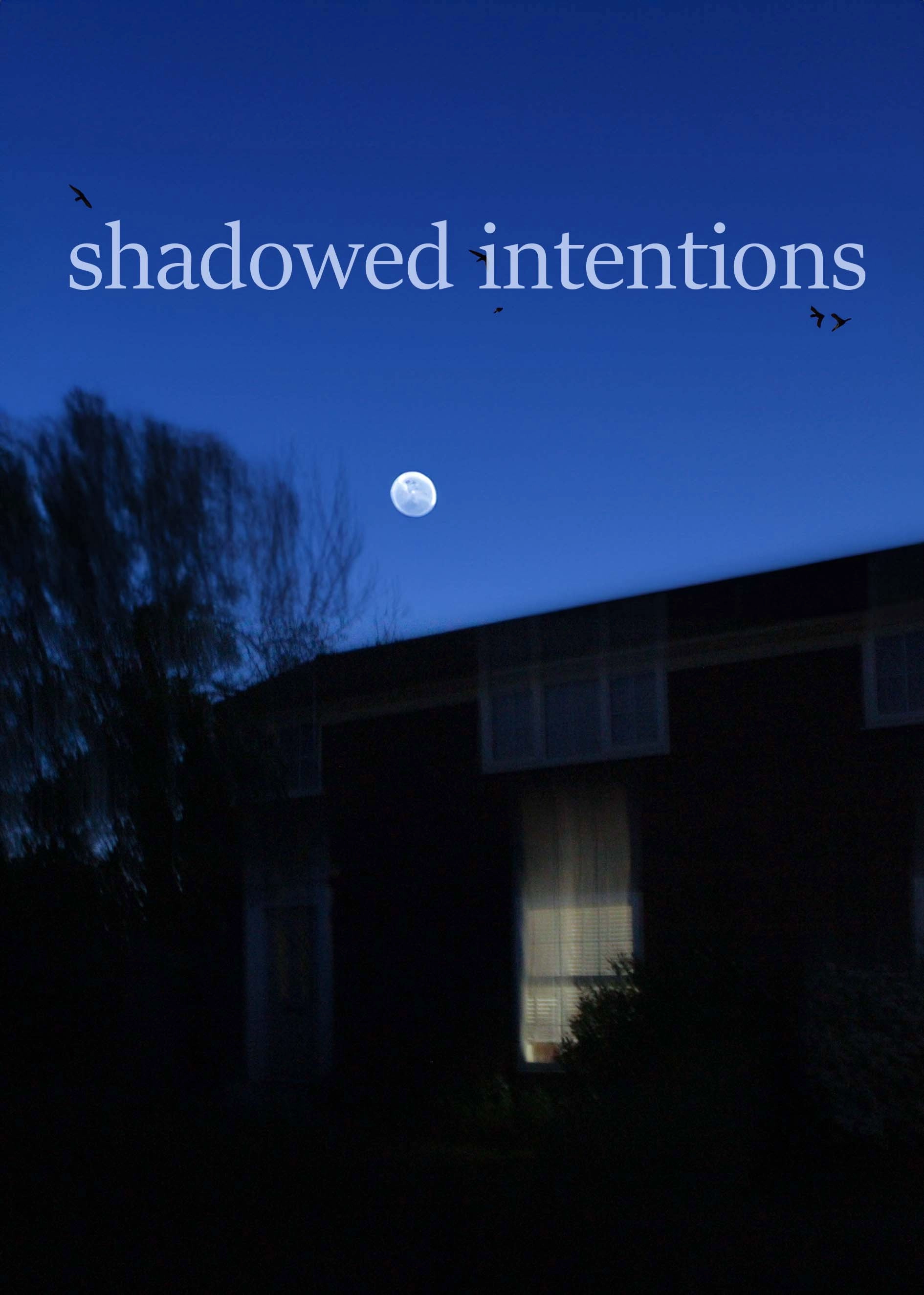 shadowed intentions