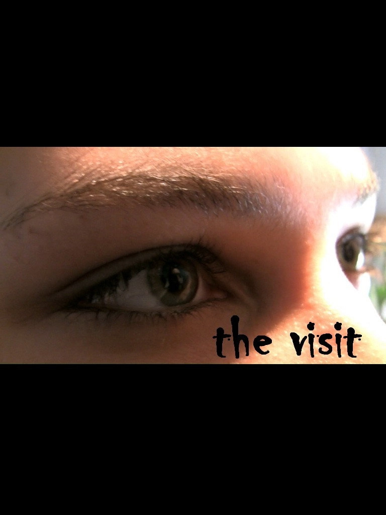 The Visit