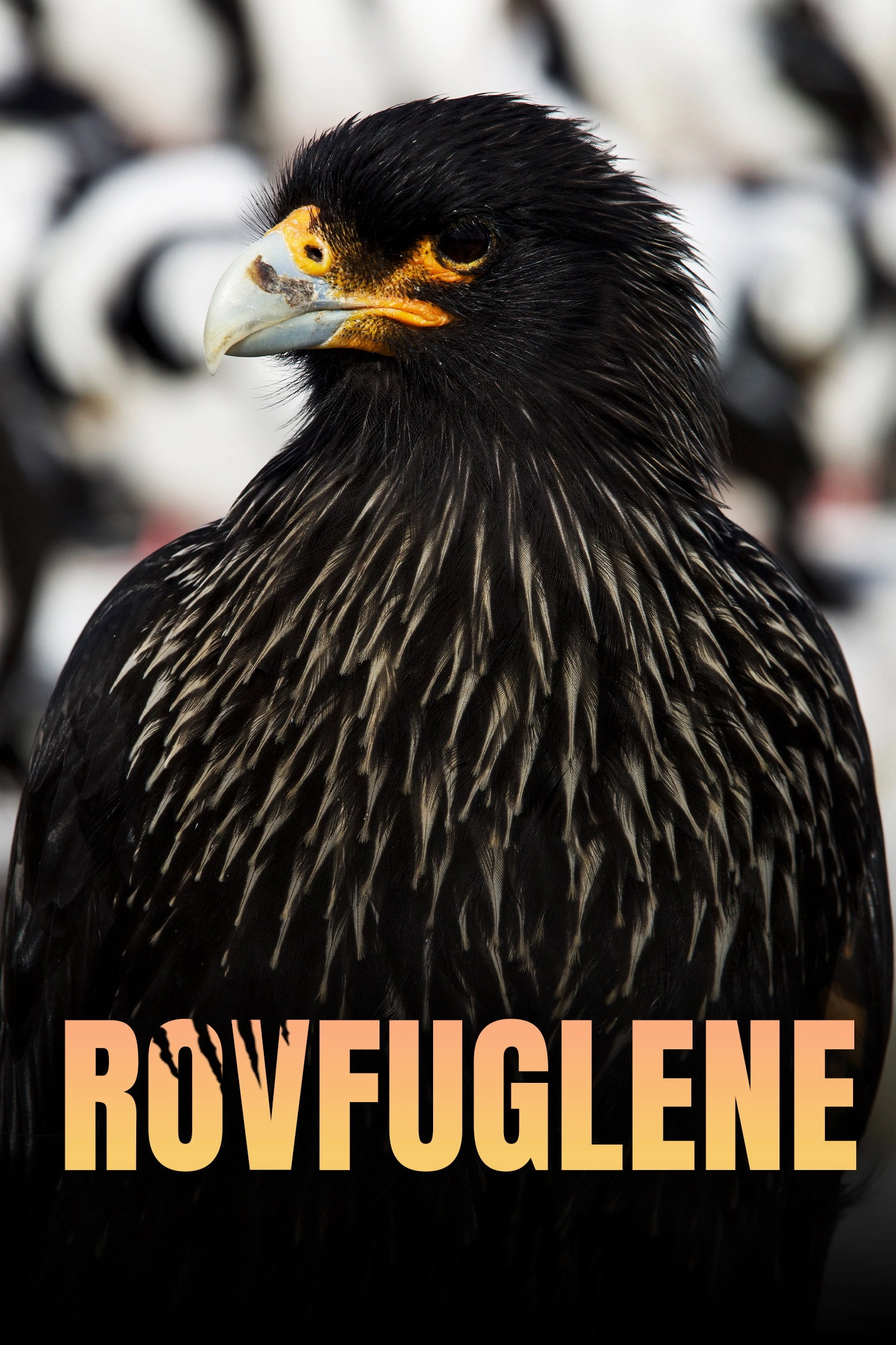 Legenden der Lüfte