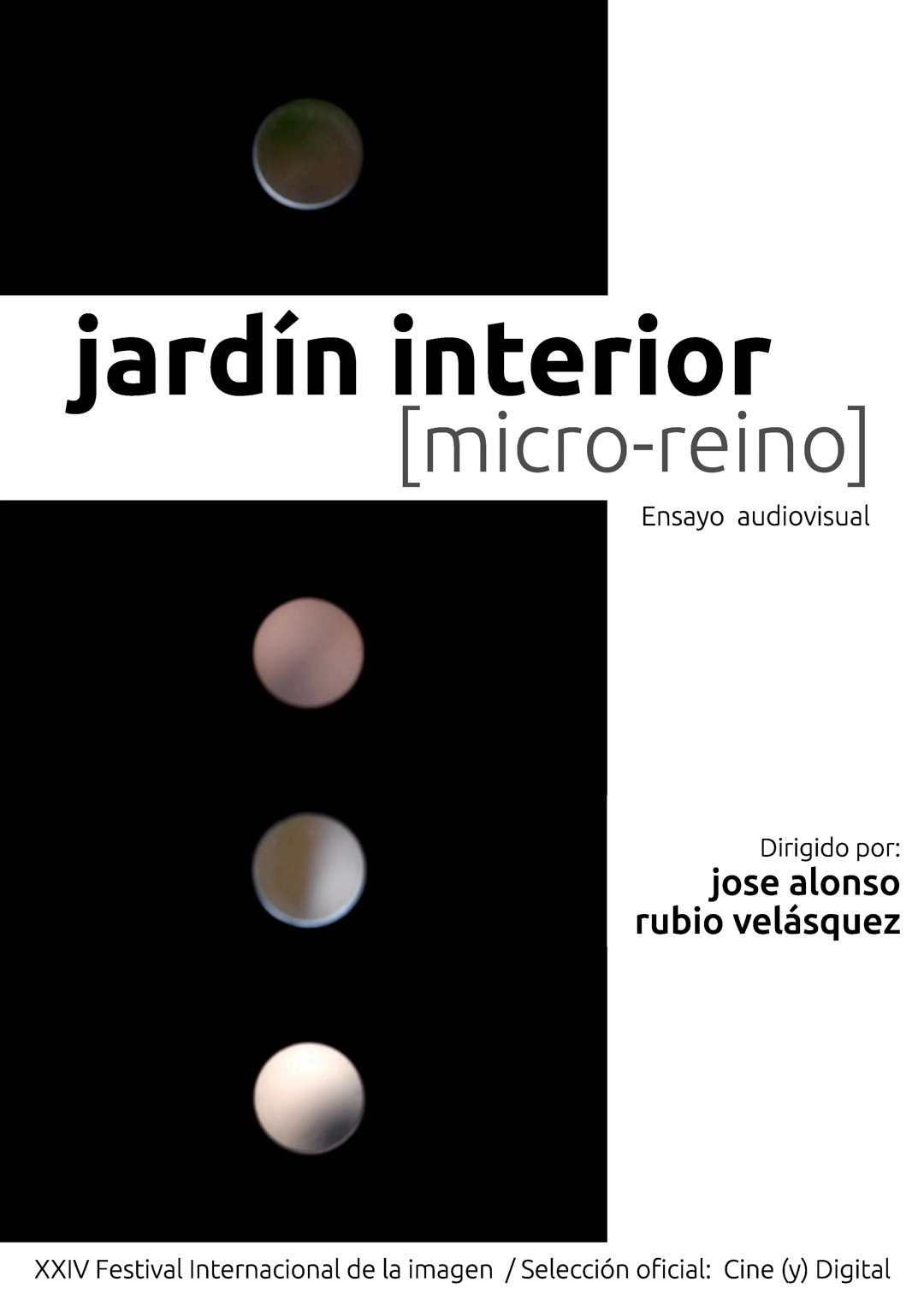 jardín interior [ micro- reino ]