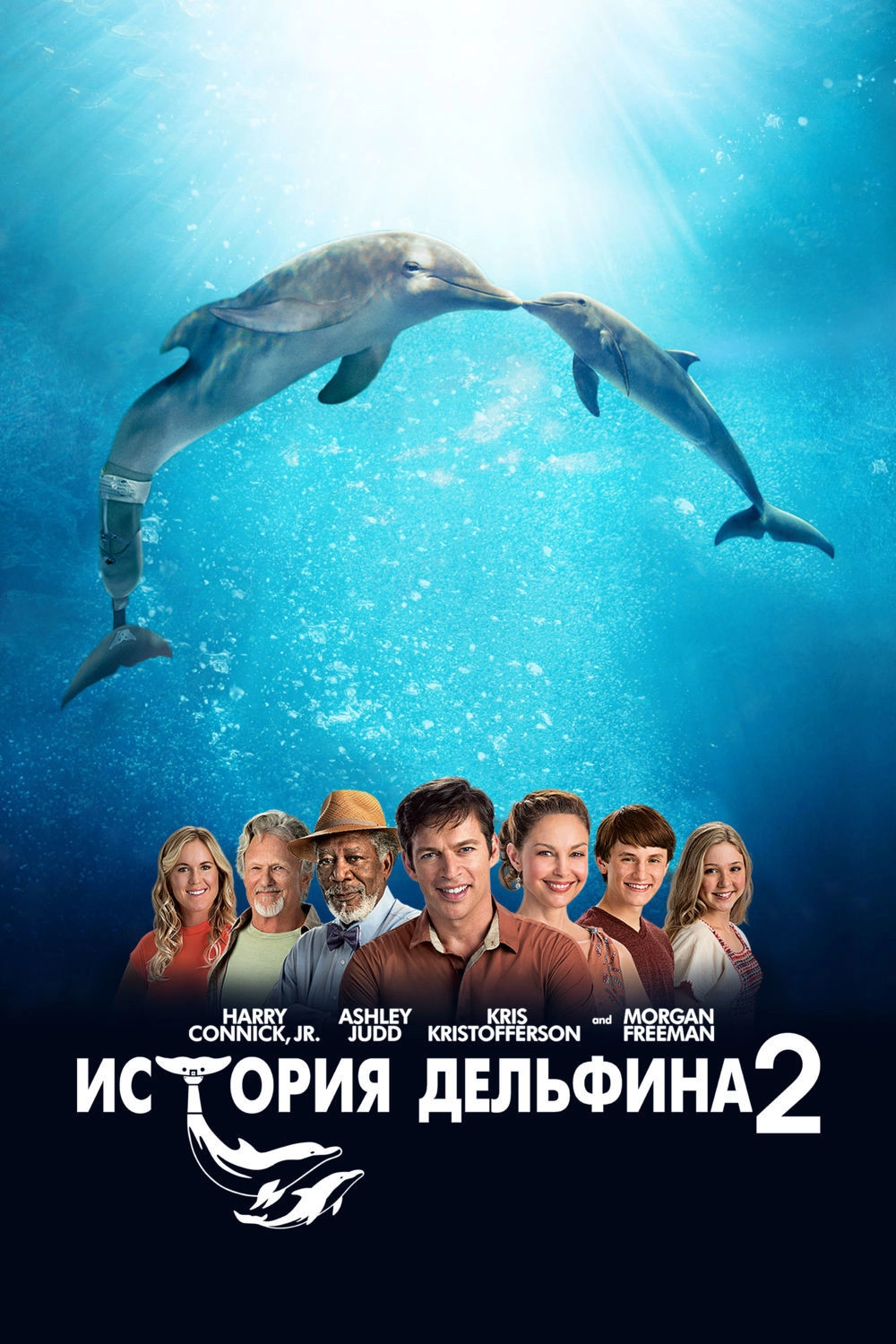Dolphin Tale 2