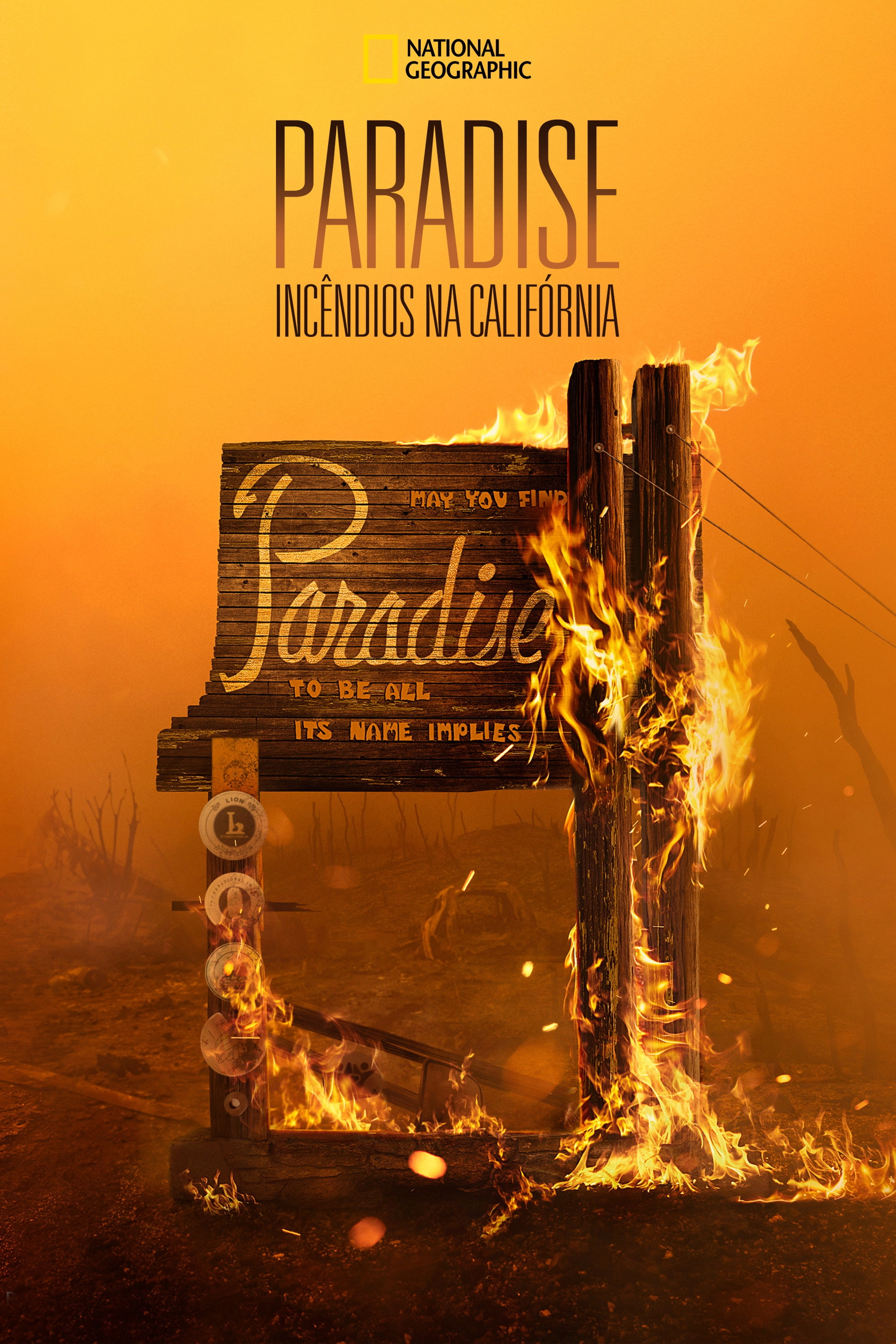 Rebuilding Paradise