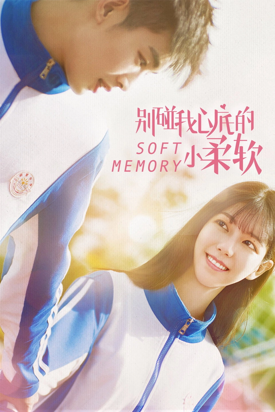 Soft Memory