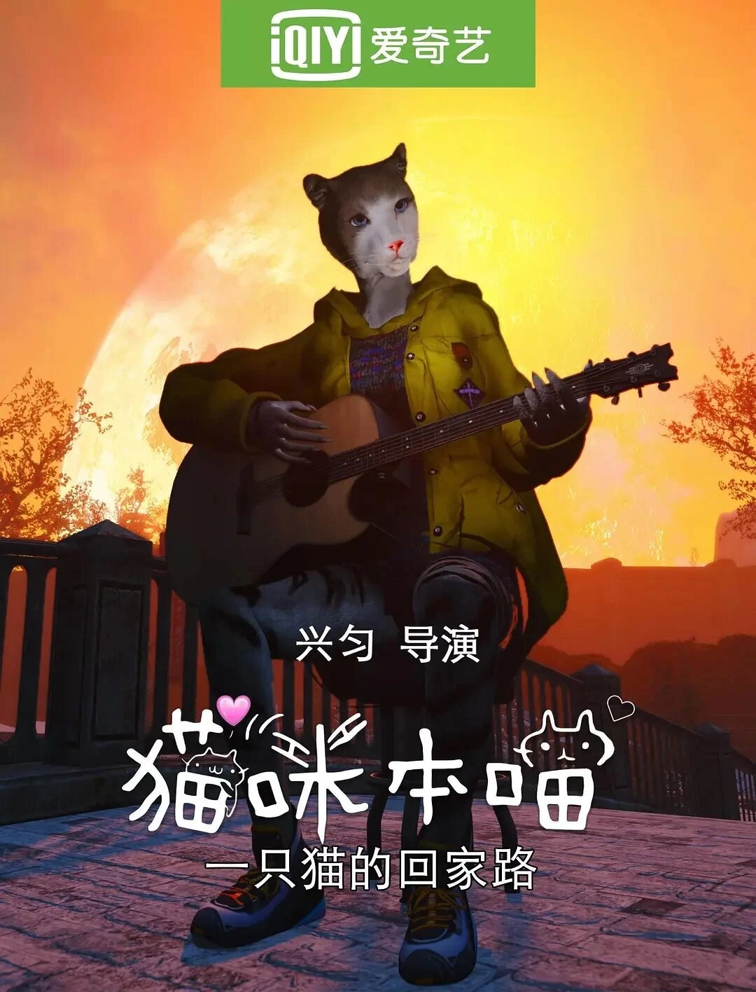 猫咪本喵