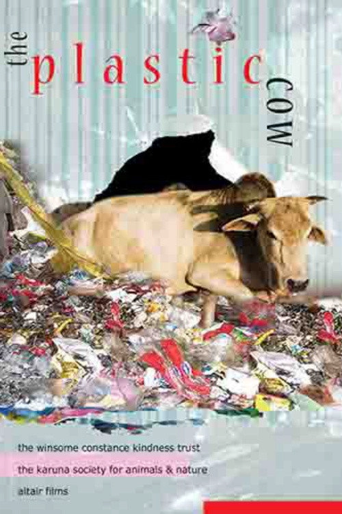 The Plastic Cow